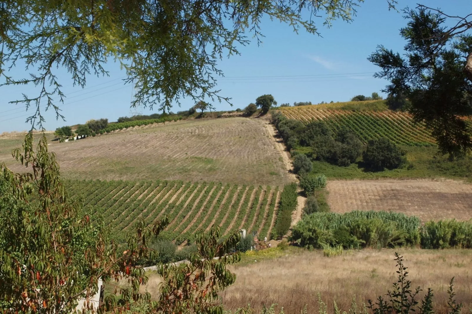 Quinta Santo António-Gebieden zomer 1km