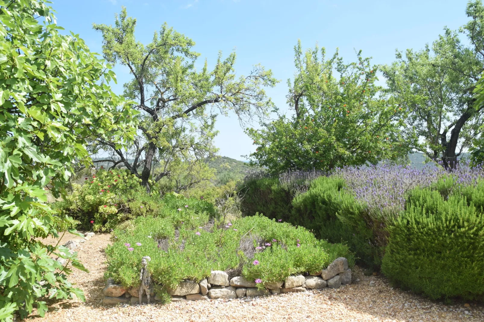 Quinta Amarela XXL-Tuinen zomer