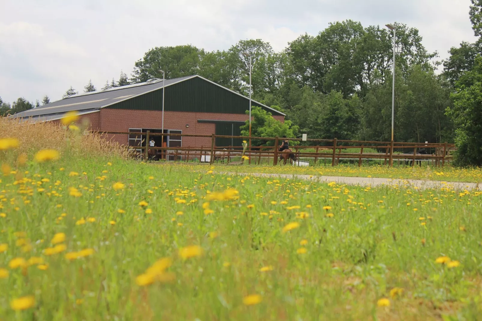 Vakantiepark Horsetellerie 7-Gebieden zomer 1km