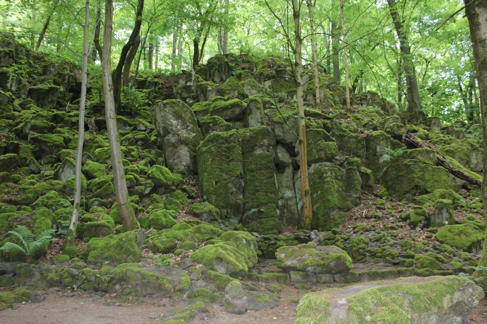 Villa Michelbach-Gebieden zomer 5km