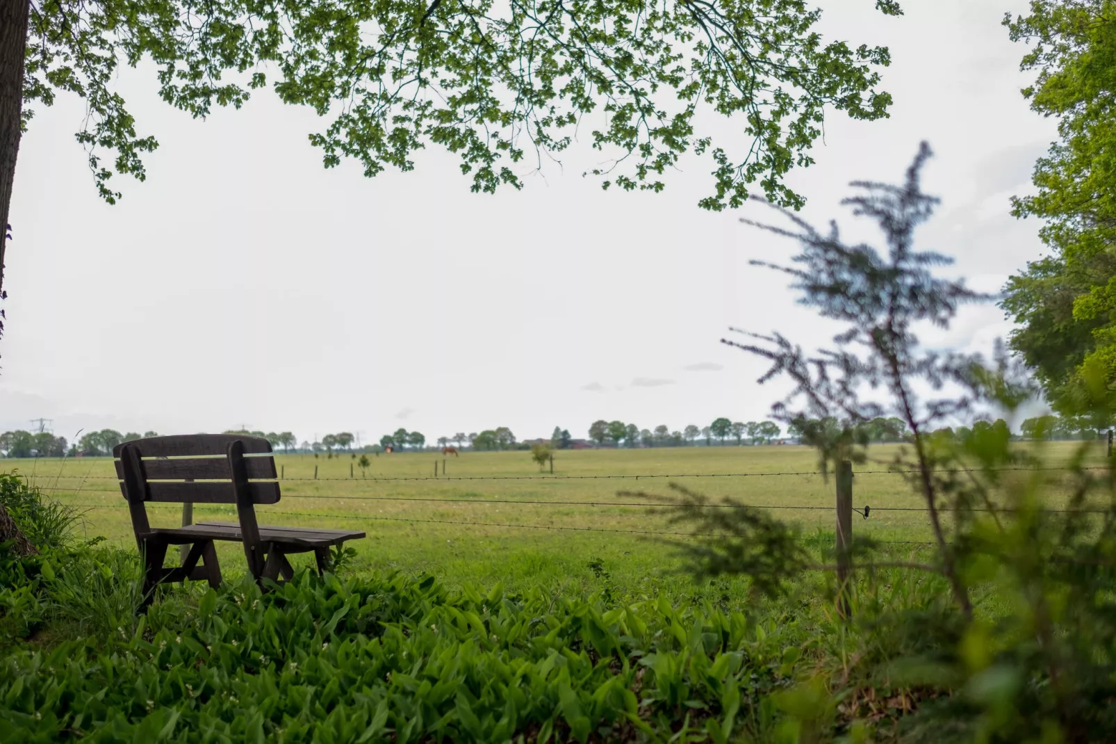 Buitenplaats Berg en Bos nummer 13-Tuinen zomer