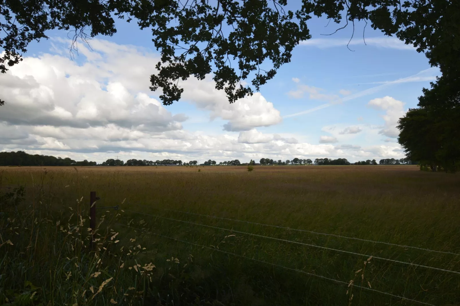 Buitenplaats Berg en Bos nummer 13-Uitzicht zomer