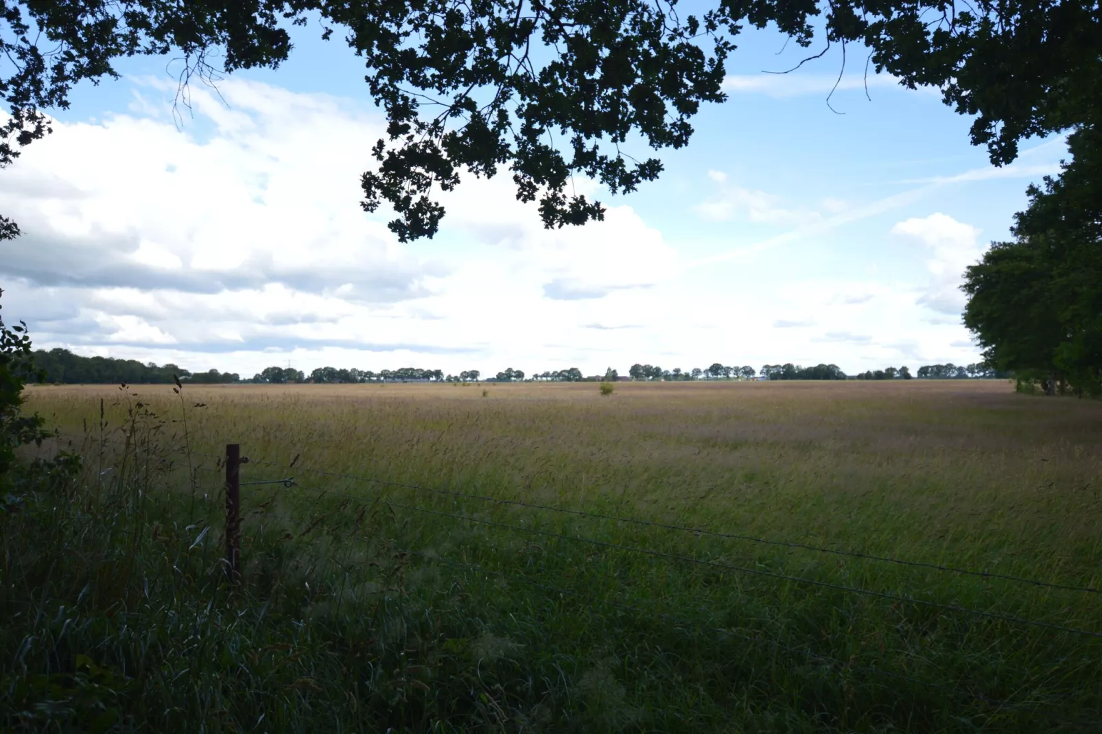 Buitenplaats Berg en Bos nummer 13-Uitzicht zomer