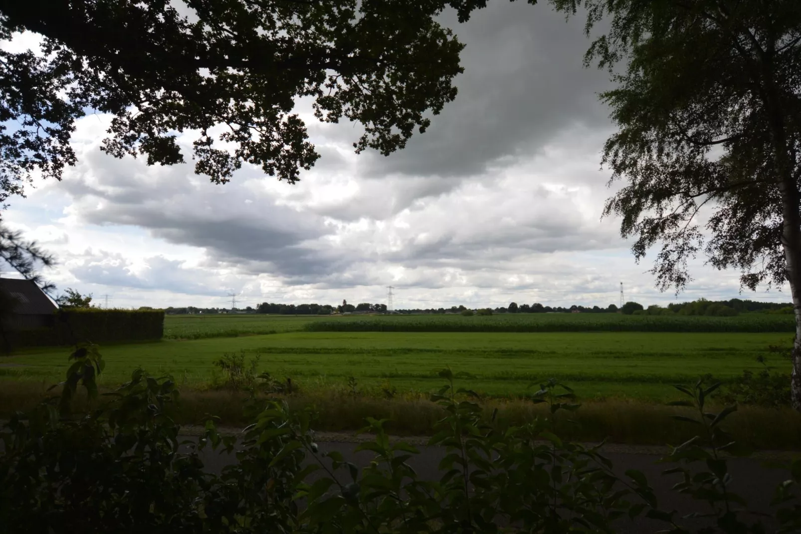 Buitenplaats Berg en Bos nummer 4-Uitzicht zomer