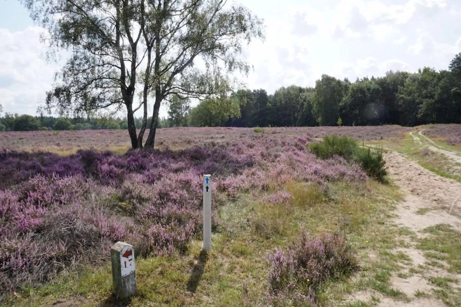 Buitenplaats Berg en Bos nummer 4-Gebieden zomer 5km