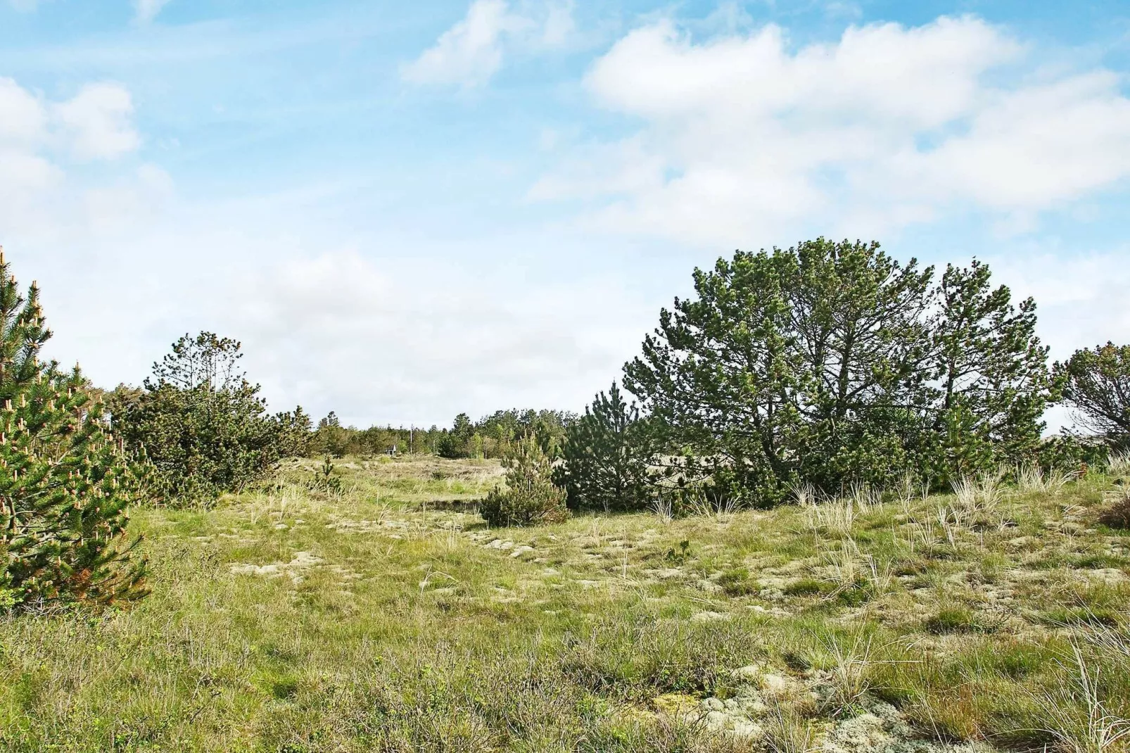 4 persoons vakantie huis in Ålbæk-Binnen