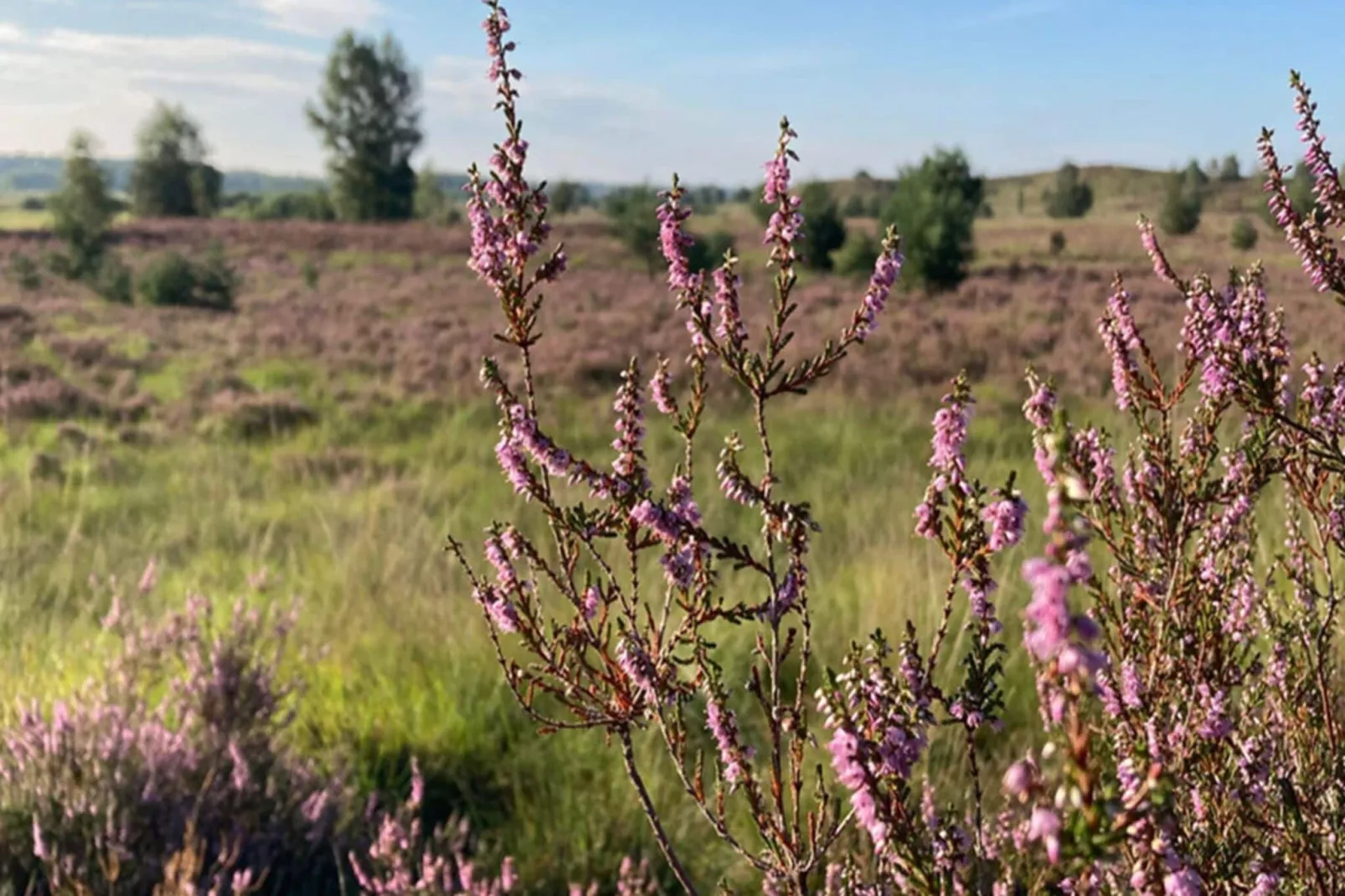 Buitenplaats Berg en Bos nummer 4-Gebieden zomer 5km