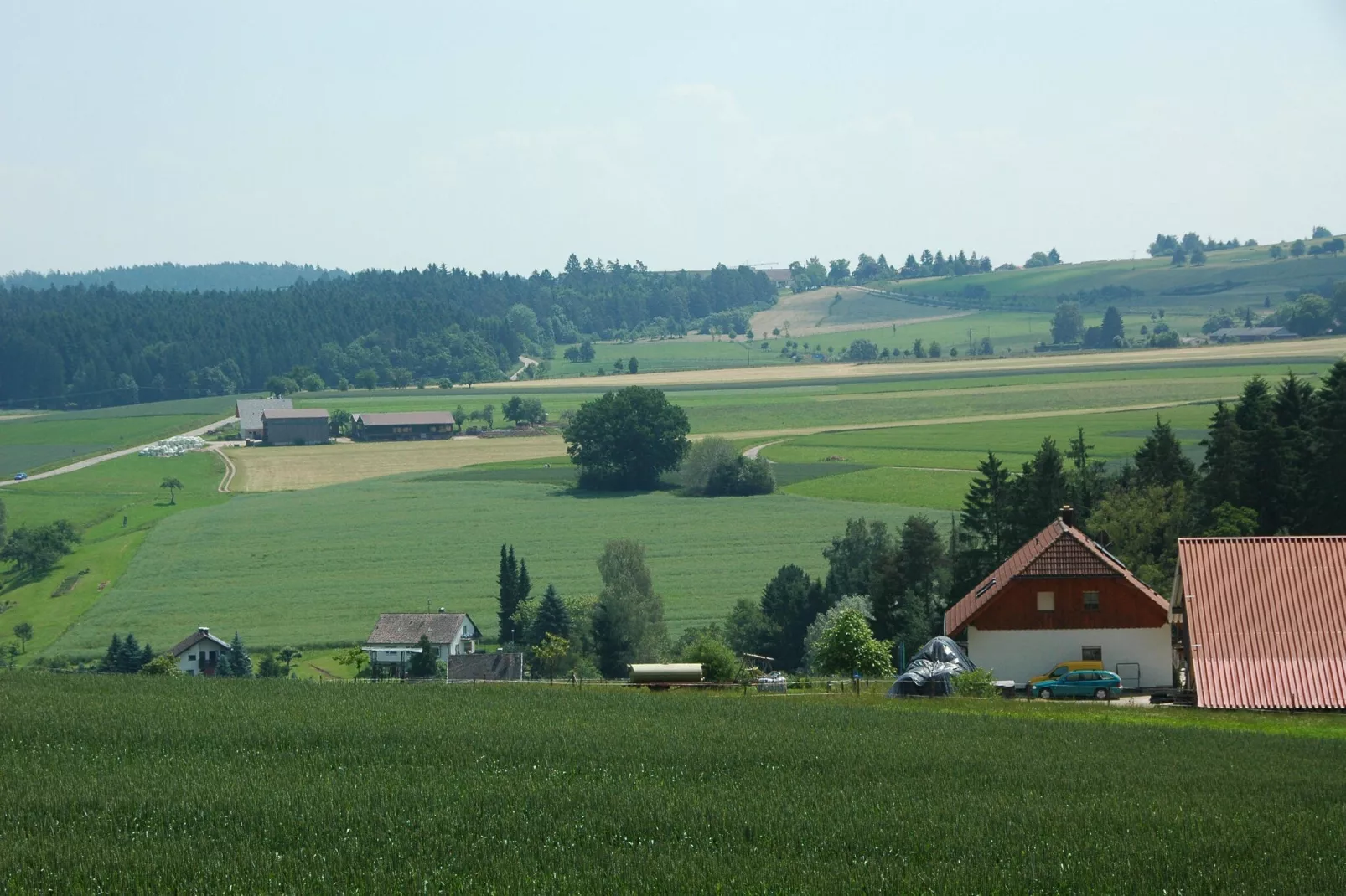 Waldacher Hof-Gebieden zomer 1km