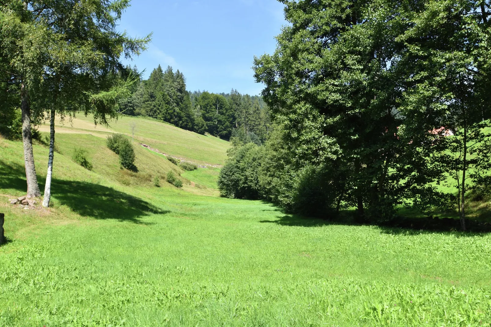 Fahrner-Uitzicht zomer