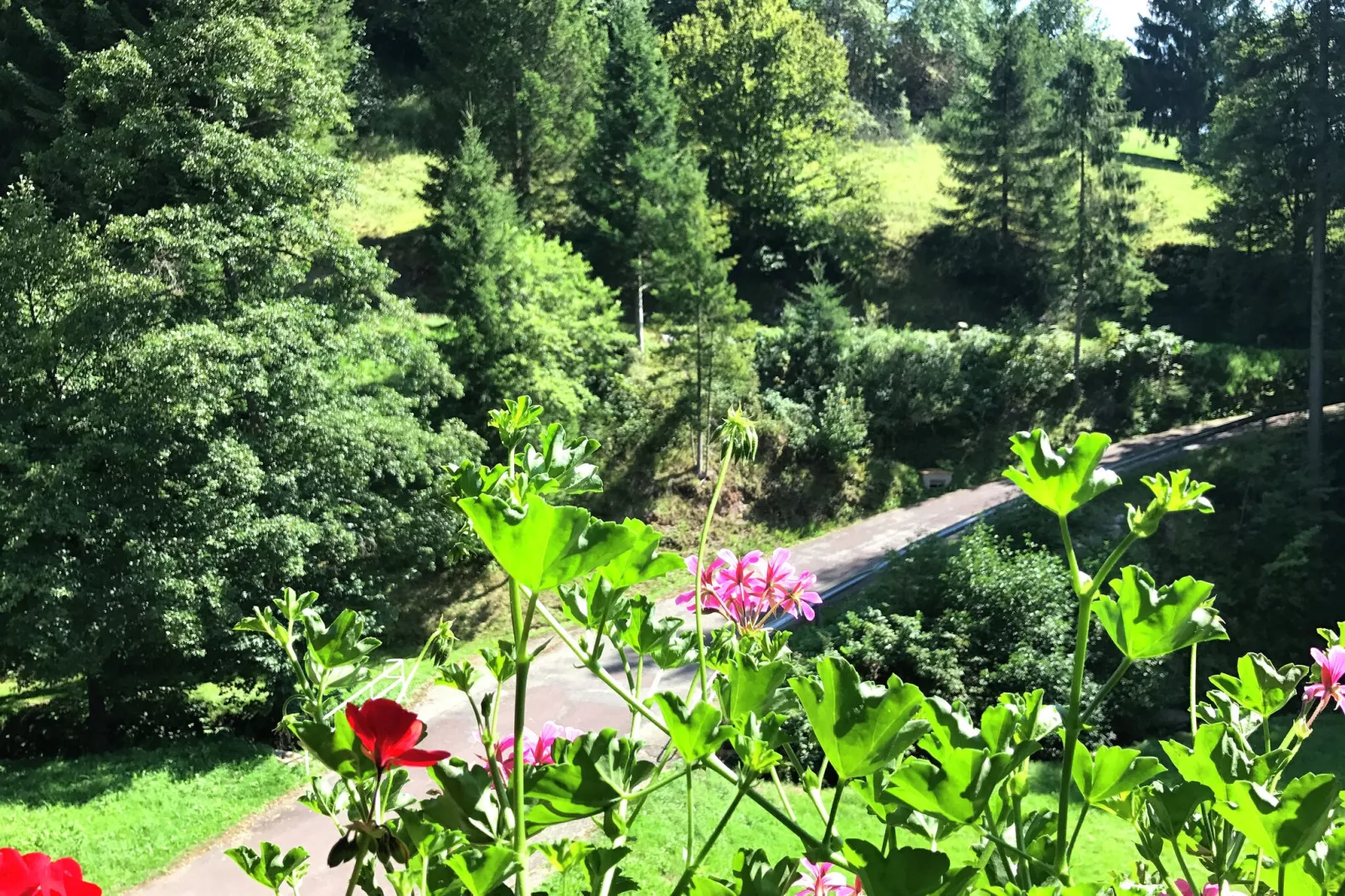 Fahrner-Uitzicht zomer