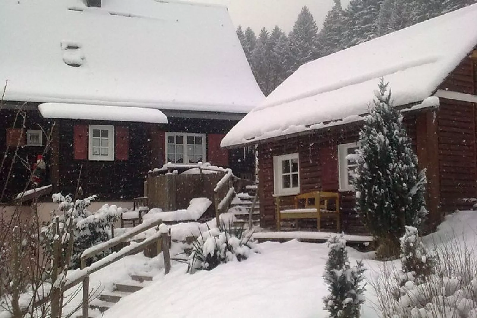 Prachtig vakantiehuis in het Zwarte Woud vlak bij het meer-Exterieur winter