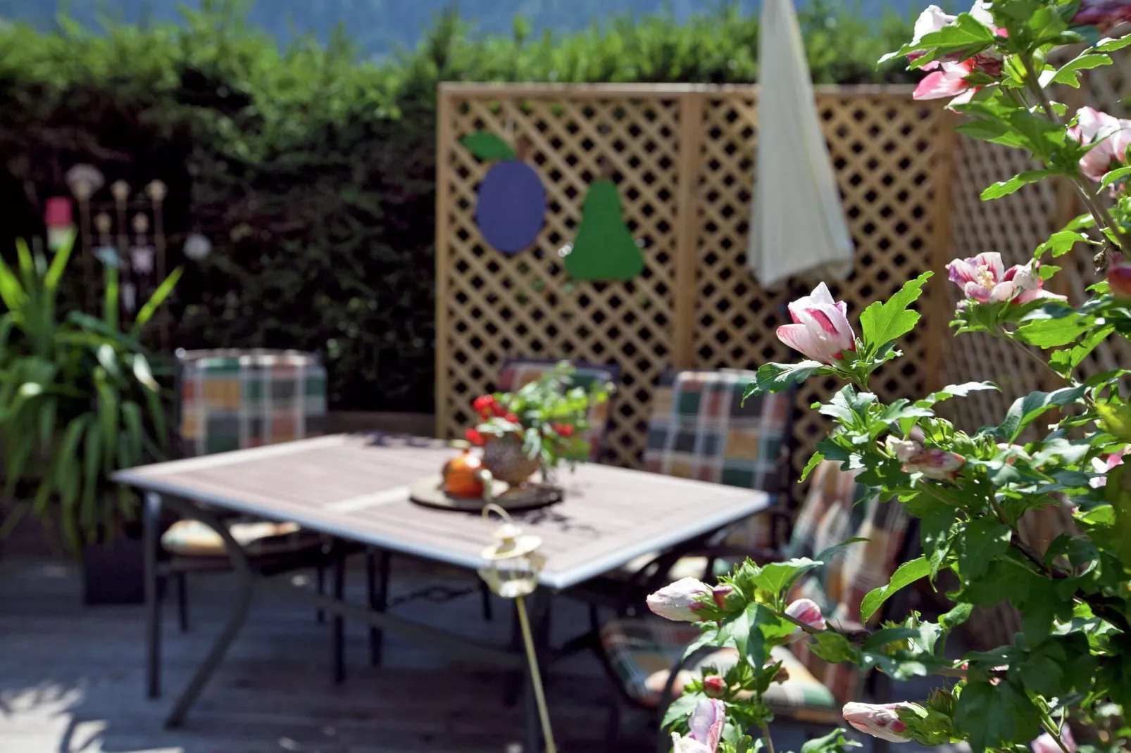 Ferienwohnung Nindl-Tuinen zomer