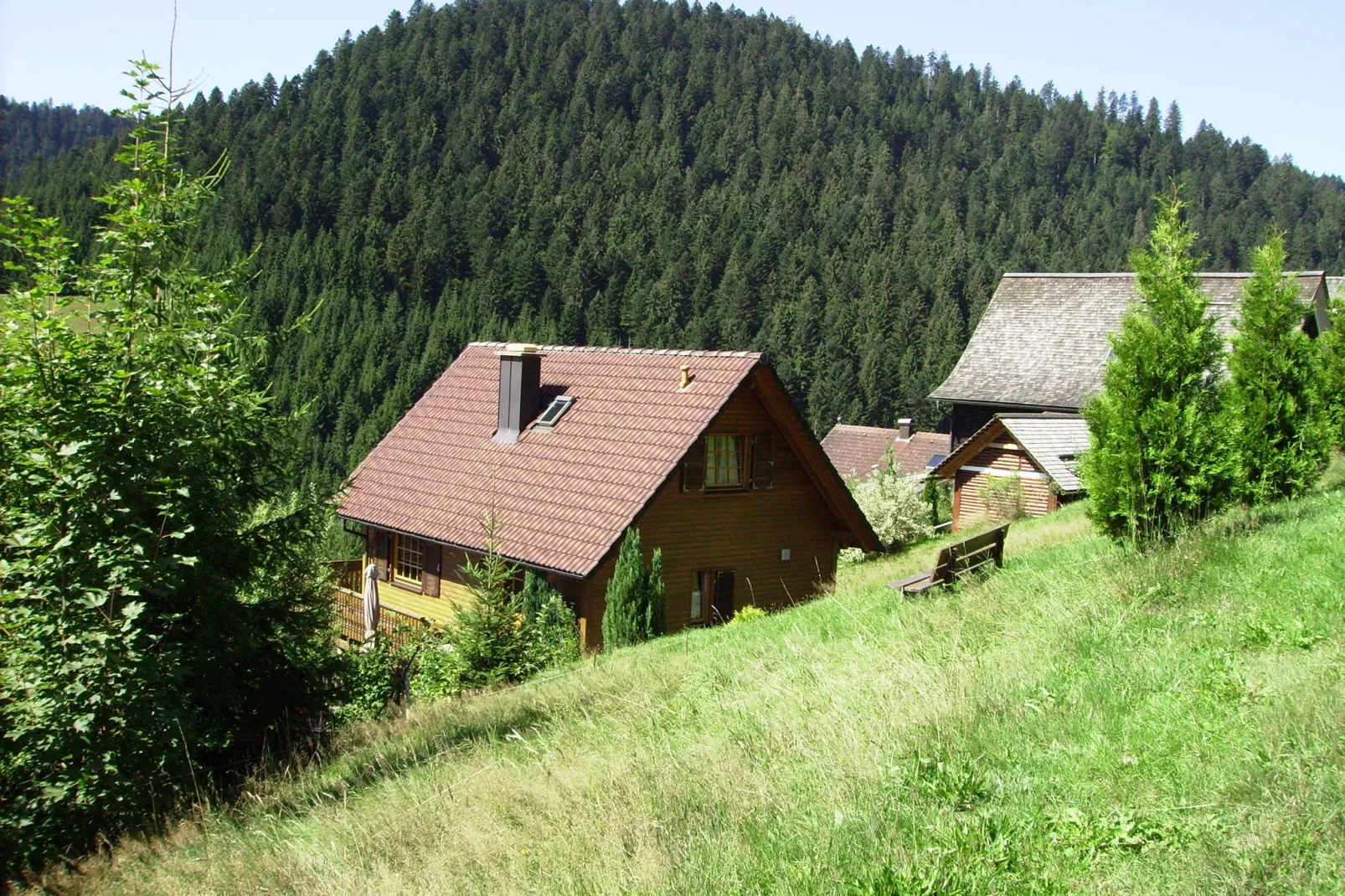 Vrijstaande vakantiewoning in het Zwarte Woud met sauna-Buitenkant zomer