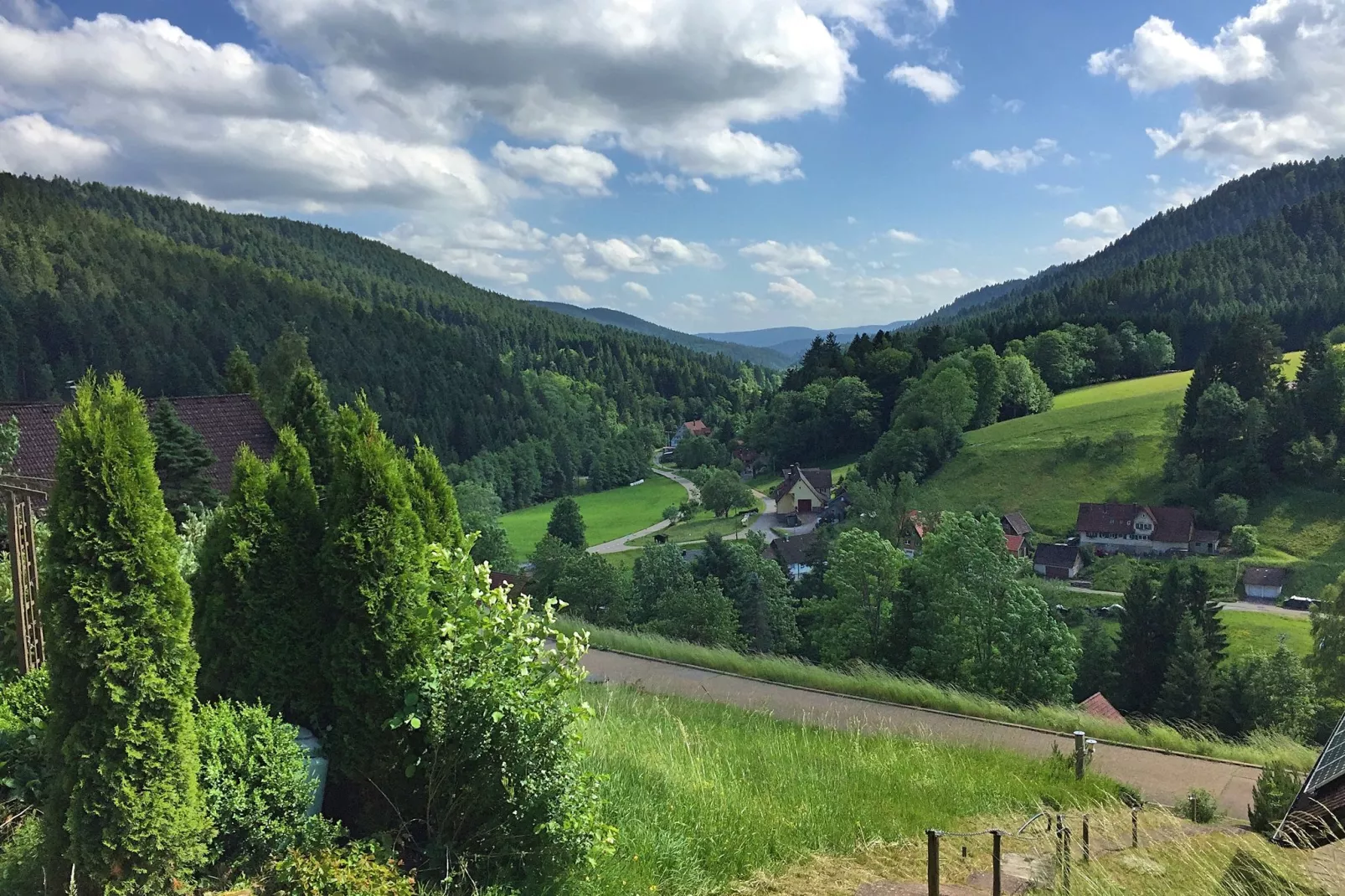 Schwarzwald-Uitzicht zomer