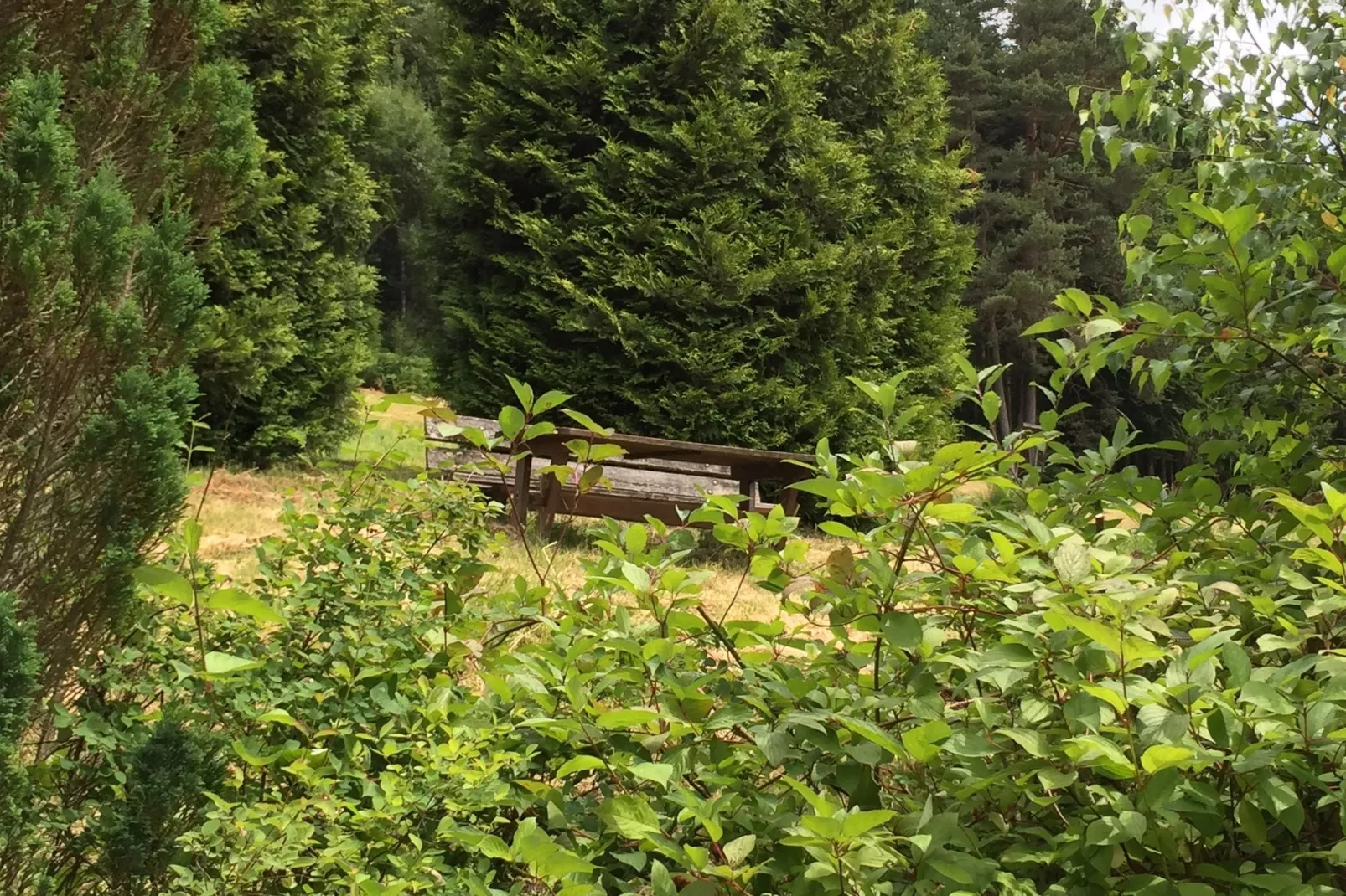 Schwarzwald-Uitzicht zomer