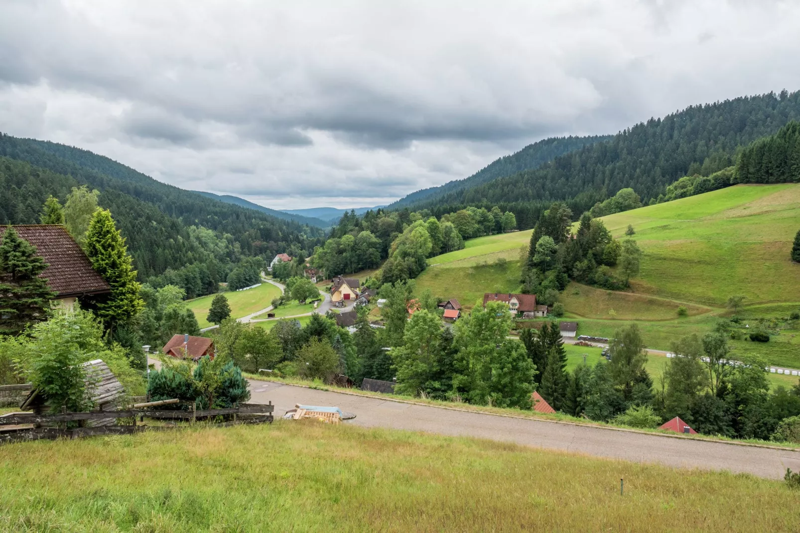 Schwarzwald-Uitzicht zomer