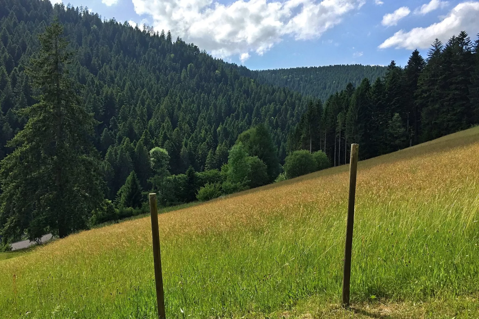 Schwarzwald-Tuinen zomer