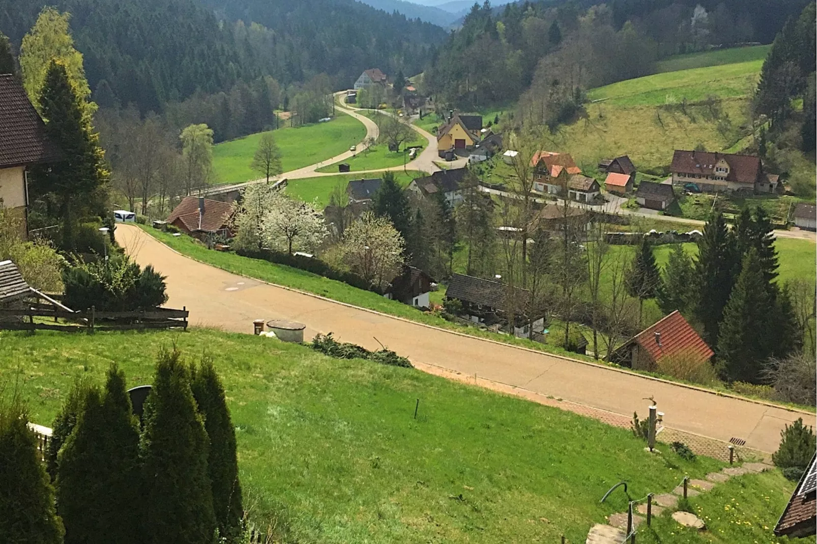 Schwarzwald-Gebieden zomer 1km