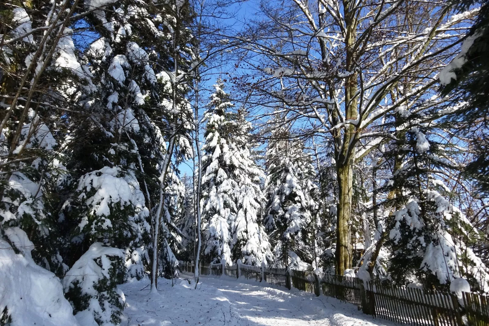 Schröder-Tuin winter