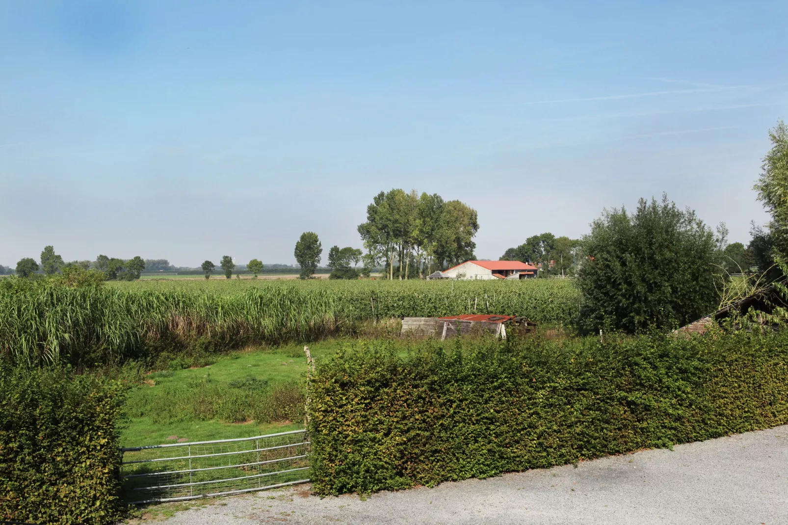 Appartement De Biezenpolder-Uitzicht zomer