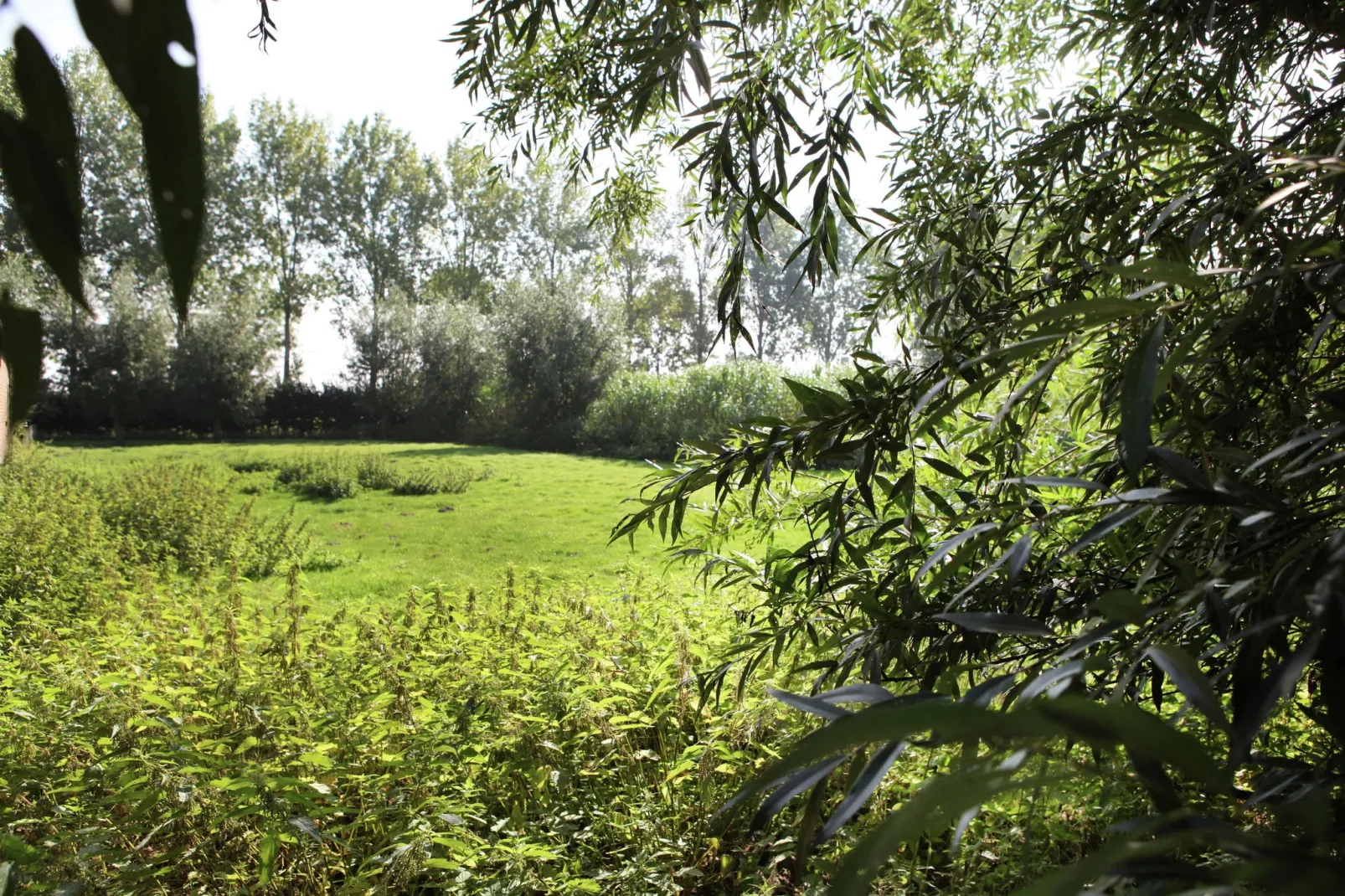 Appartement De Biezenpolder-Uitzicht zomer