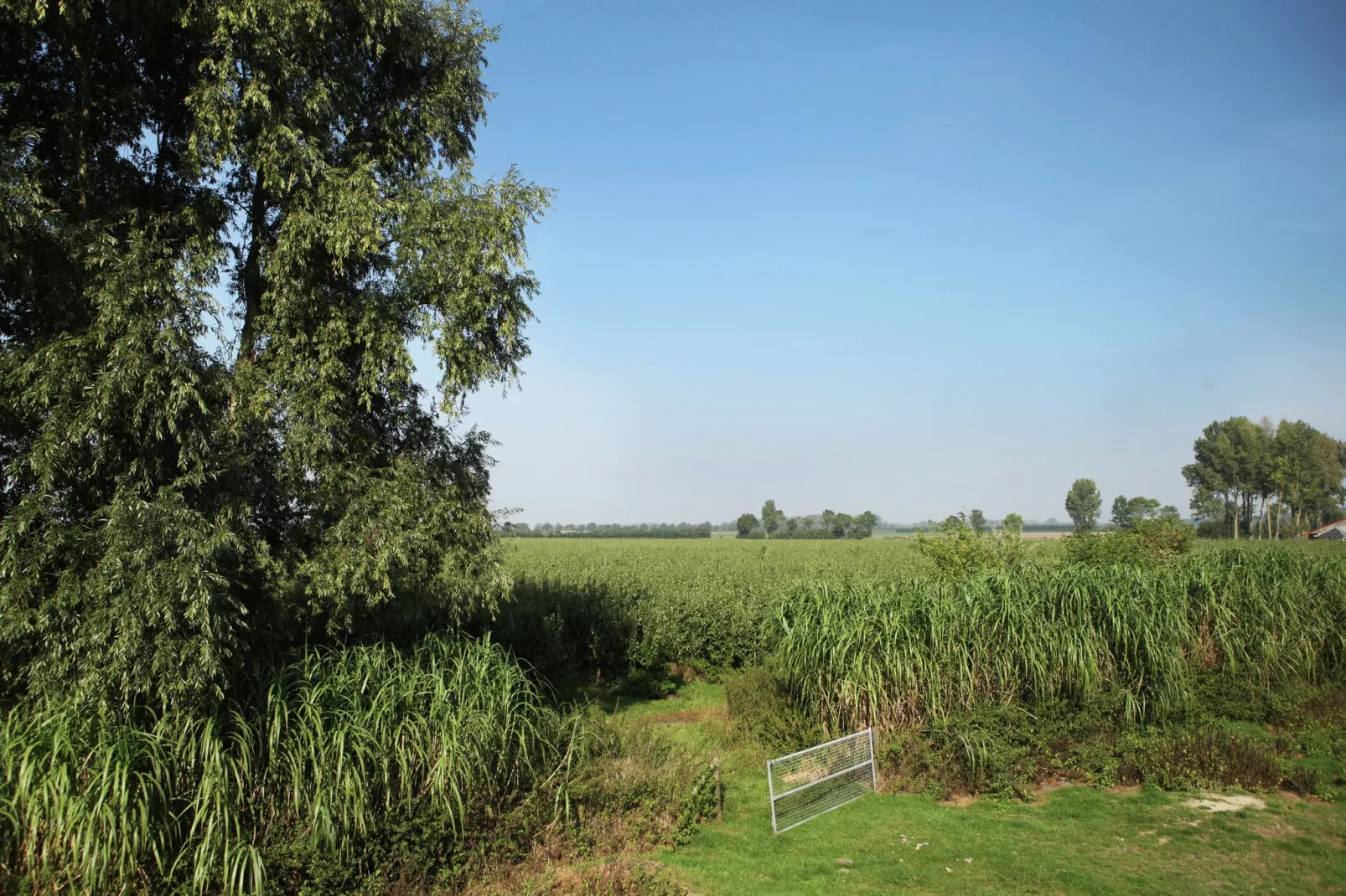 Appartement De Hooizolder-Uitzicht zomer