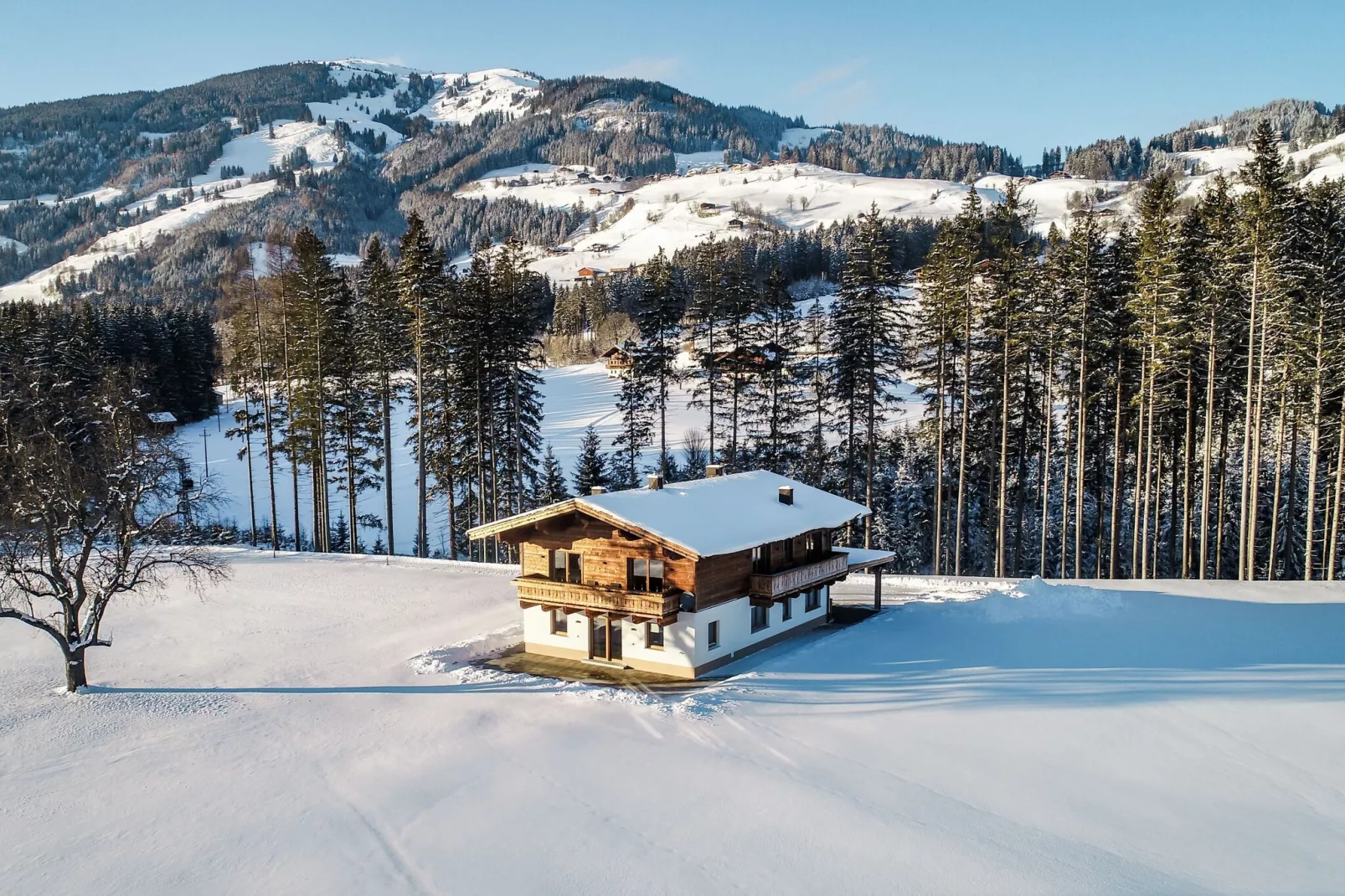 Chalet Freiblick Kleinhaid-Exterieur winter