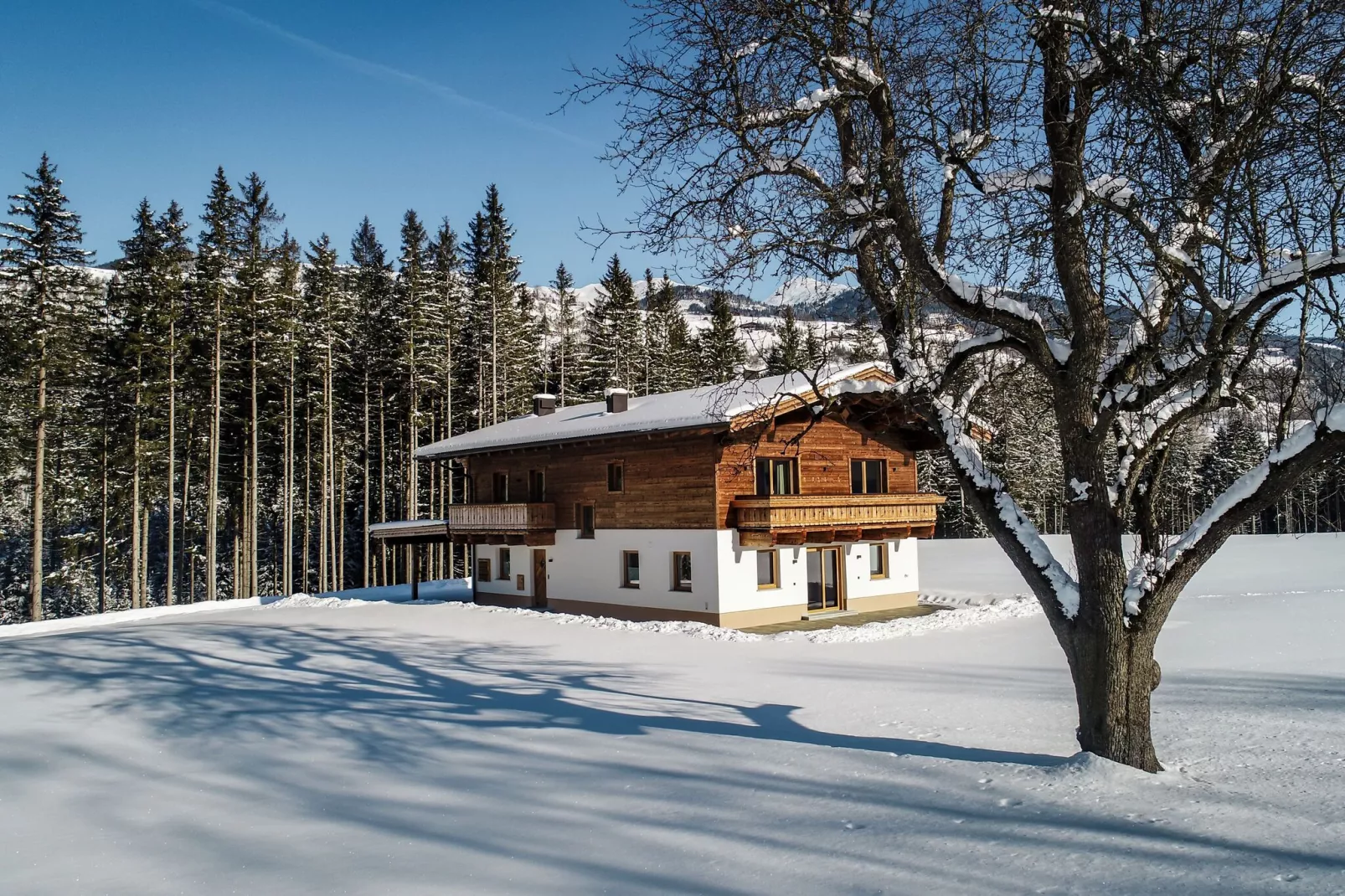 Chalet Freiblick Kleinhaid-Exterieur winter