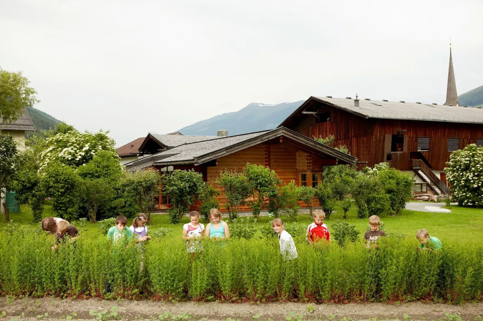 Chalet Freiblick Kleinhaid-Gebieden zomer 5km