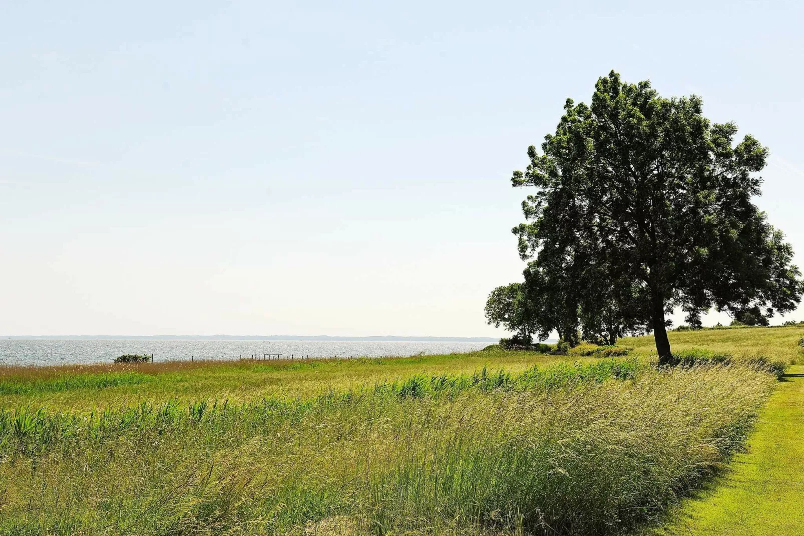 6 persoons vakantie huis in Ebberup-By Traum-Buitenlucht