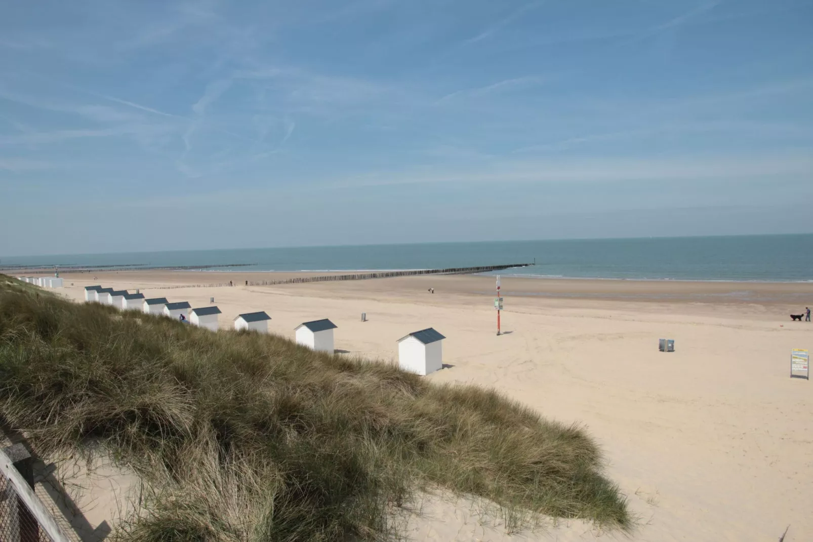 De Biezenpolder-Gebieden zomer 20km