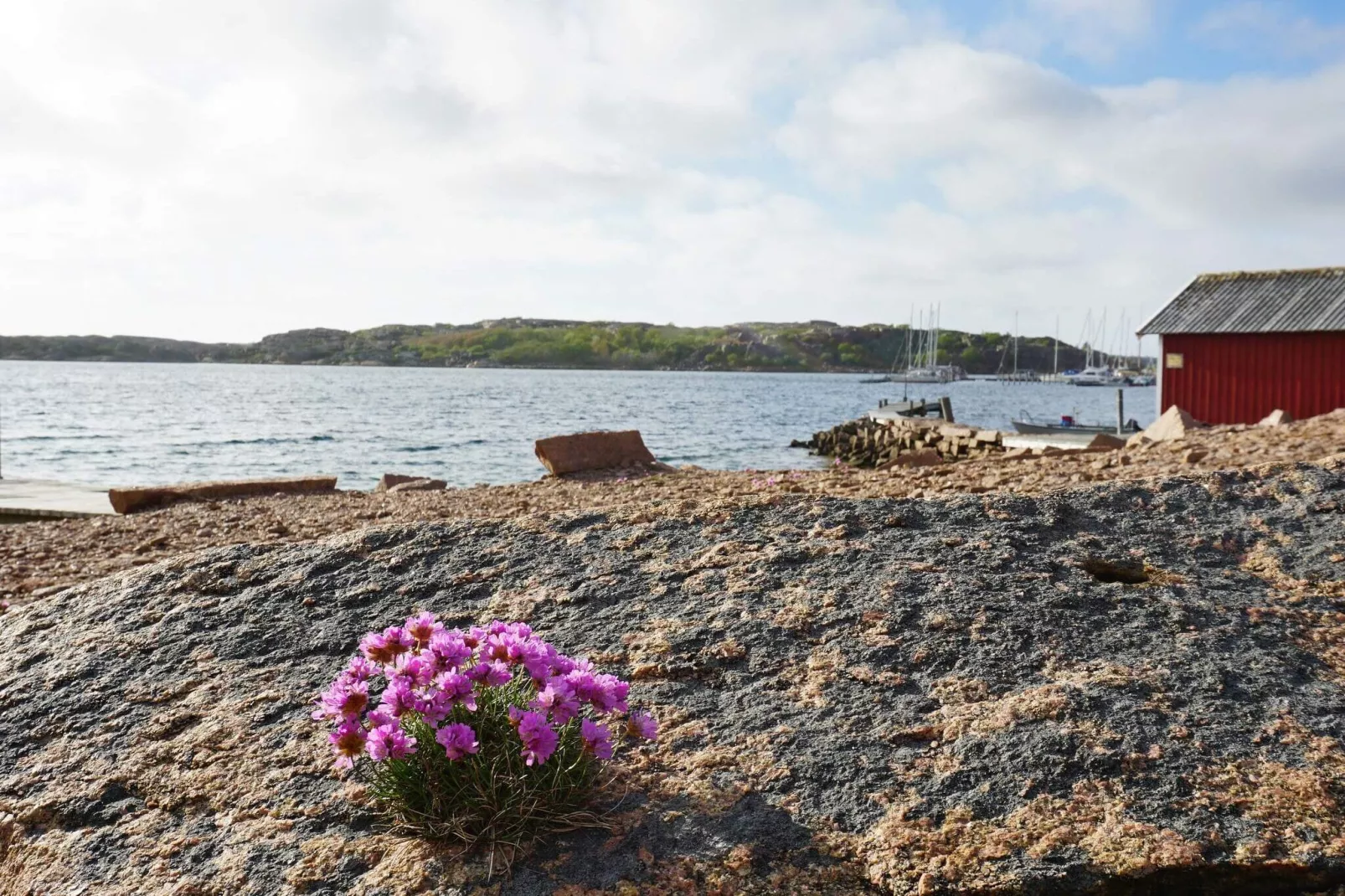 4 persoons vakantie huis in Bovallstrand-Uitzicht