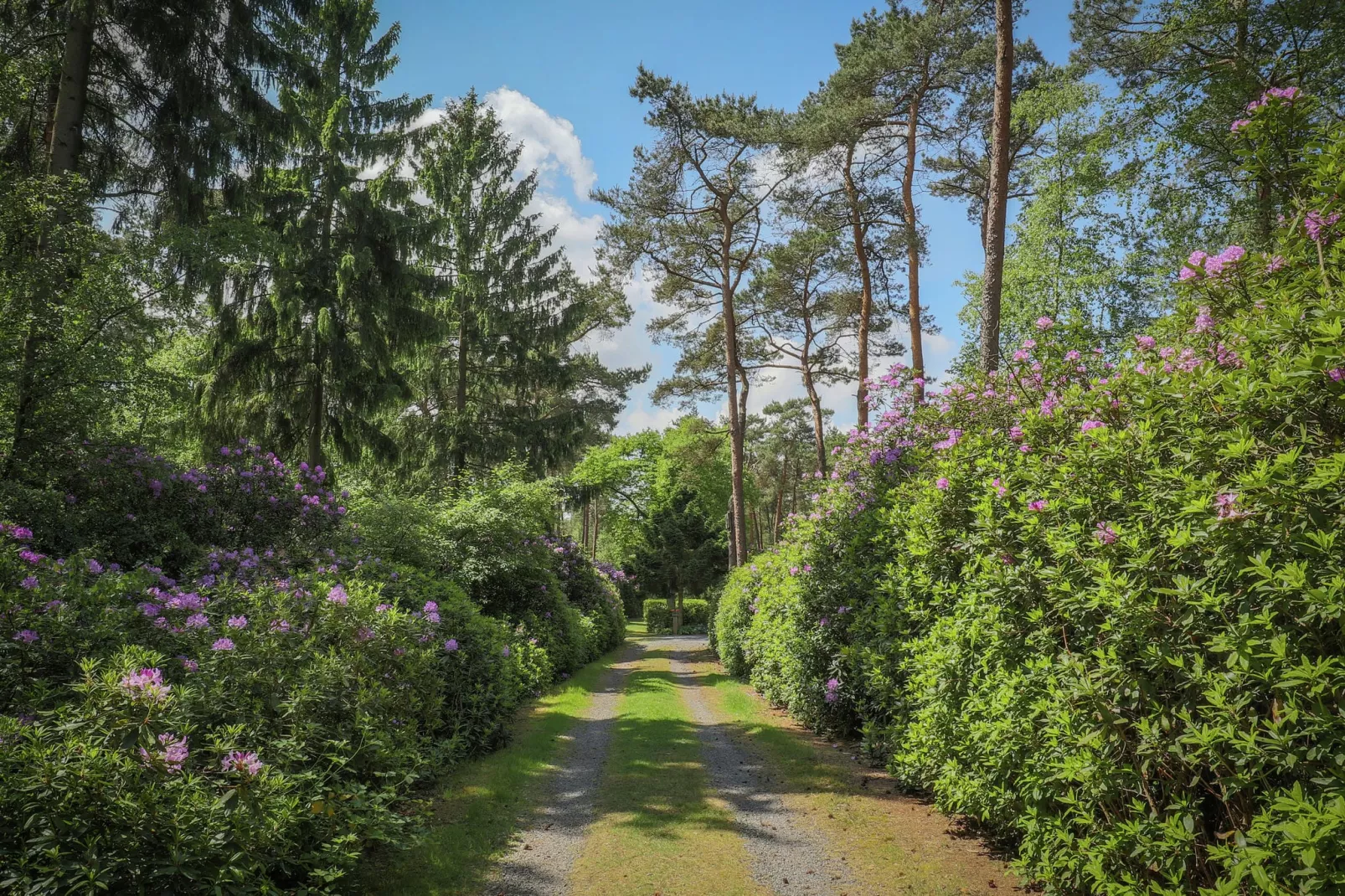 Ruischende Dennen-Tuinen zomer