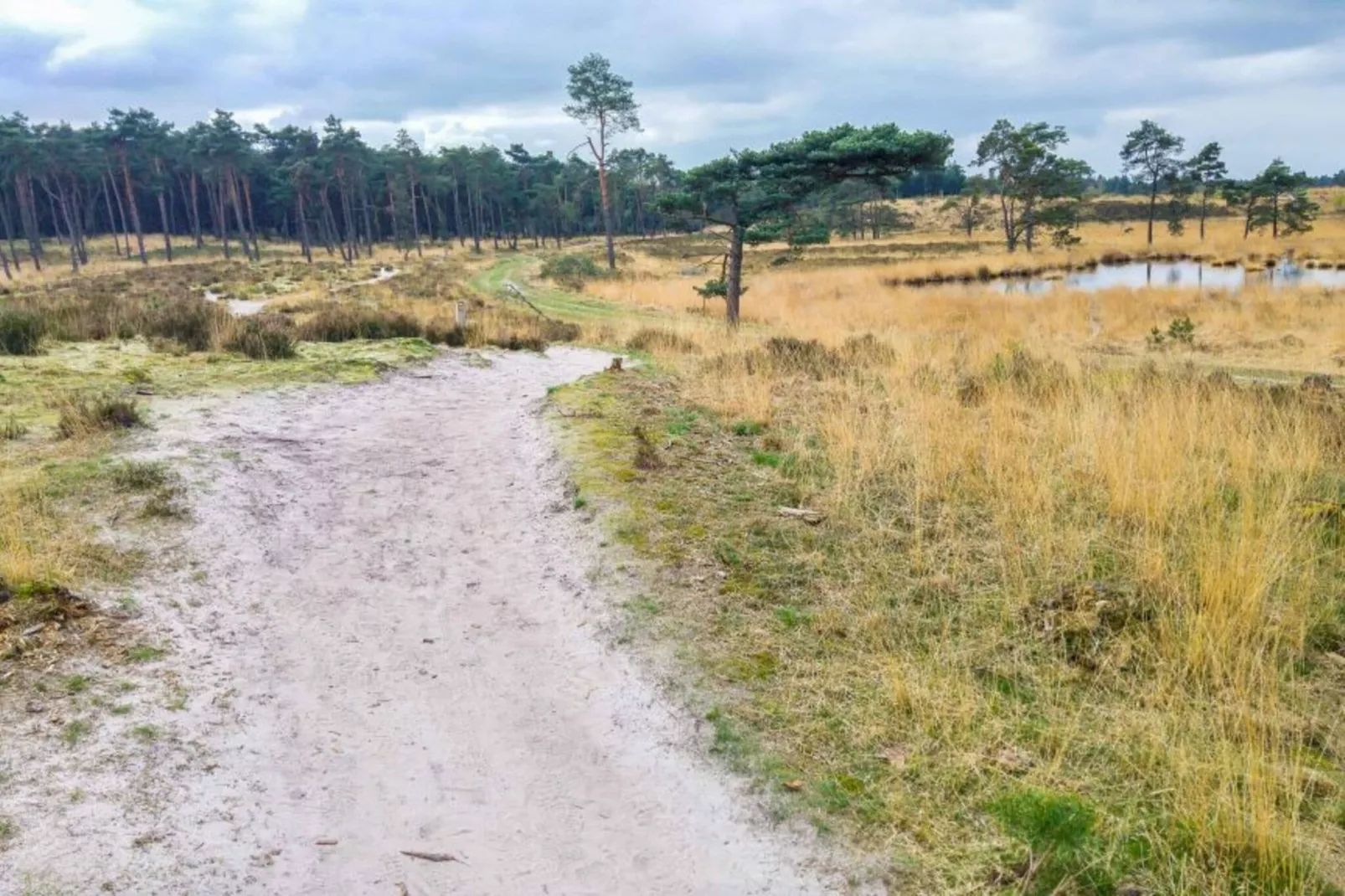 Het Haasje-Gebieden zomer 5km