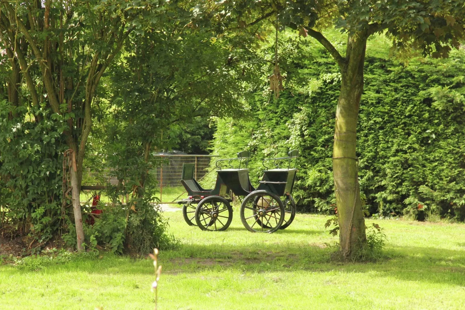 In de Weide-Tuinen zomer