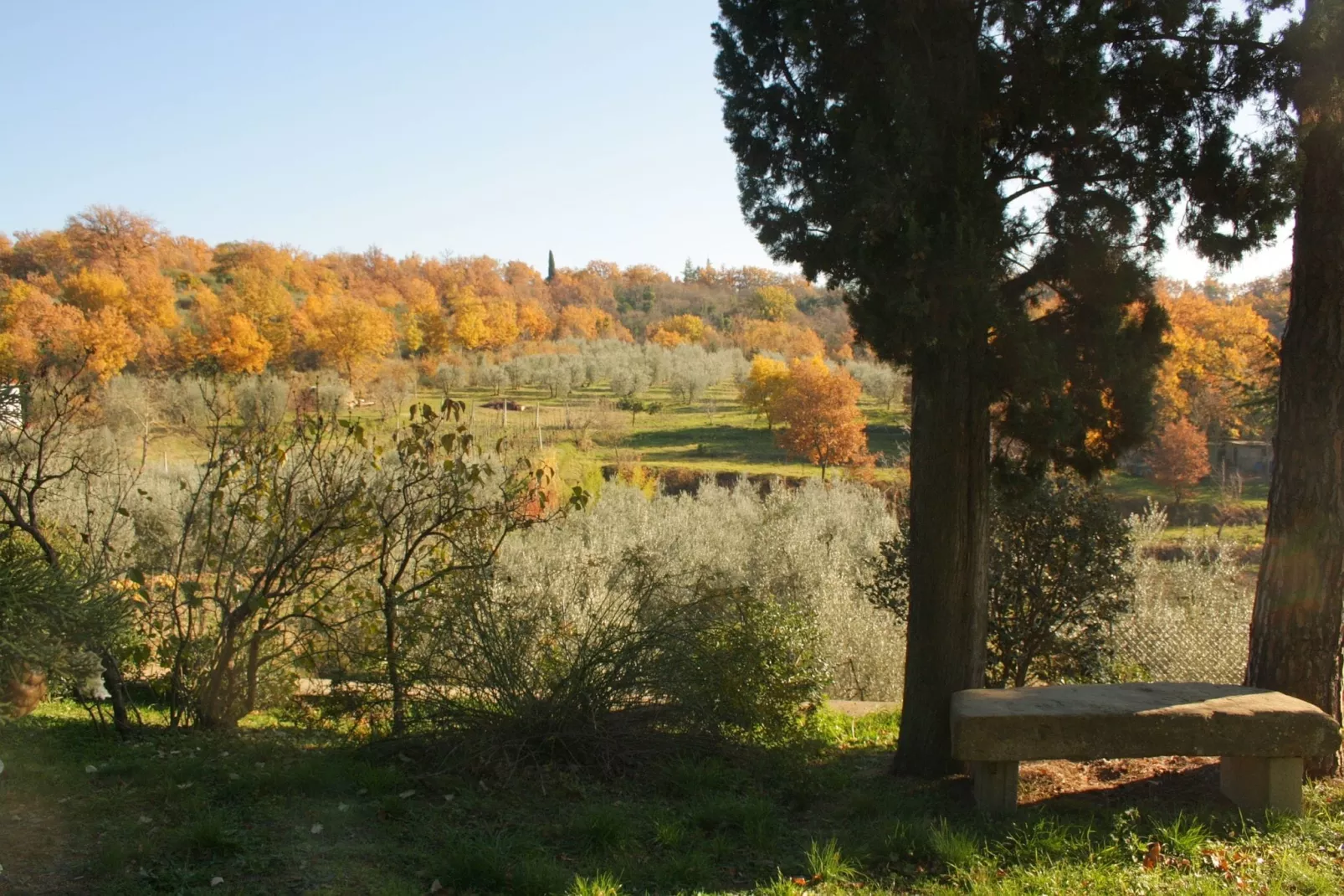 Il Leccio e Le Rose-Gebieden zomer 1km