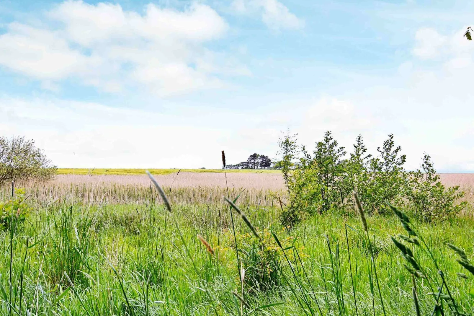 Pittoresk vakantiehuis in Jutland 800 m van de Limfjord-Uitzicht