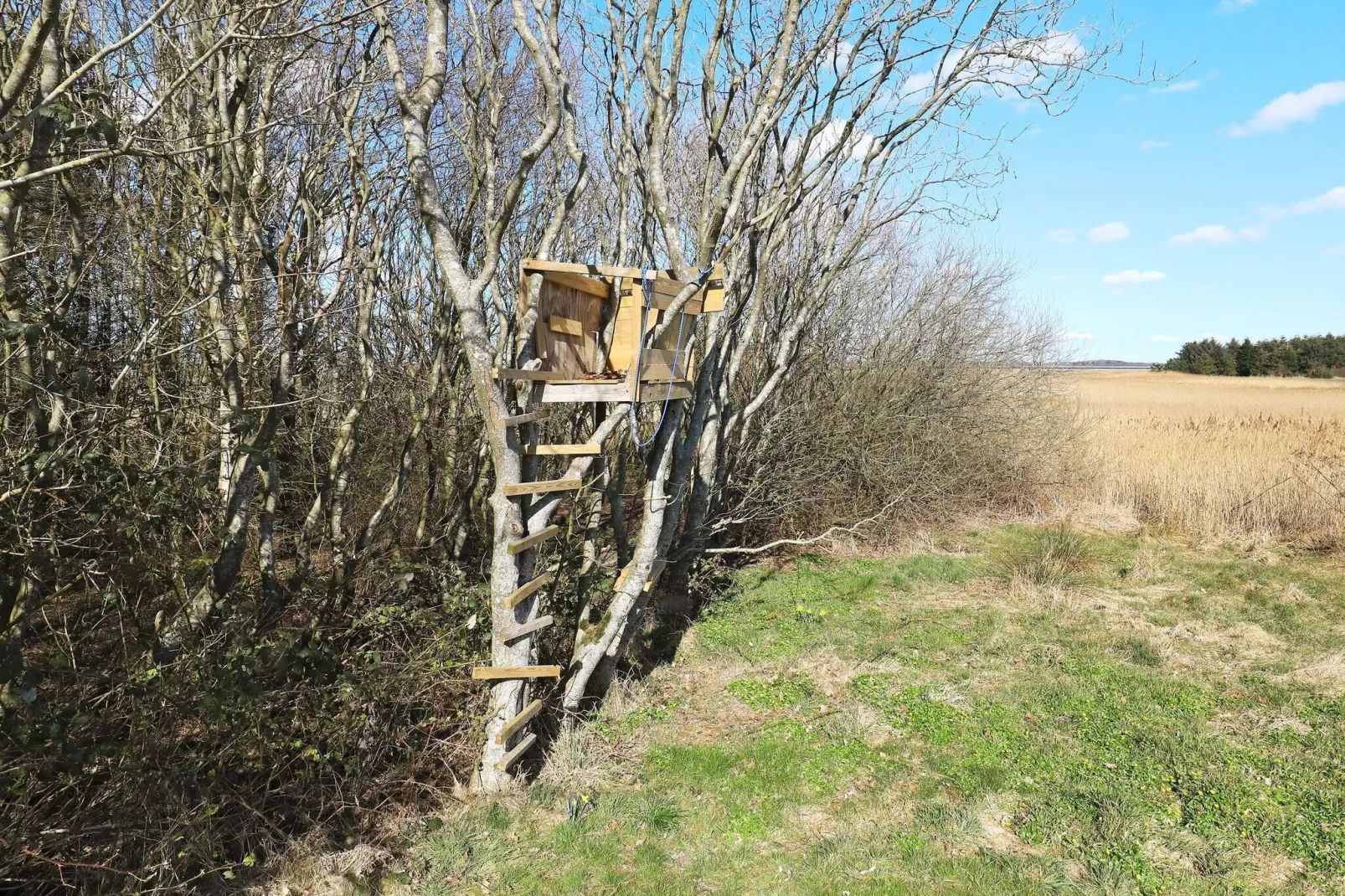 Pittoresk vakantiehuis in Jutland 800 m van de Limfjord-Uitzicht