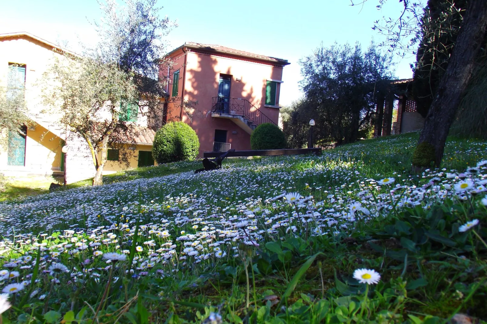 Bramante-Uitzicht winter