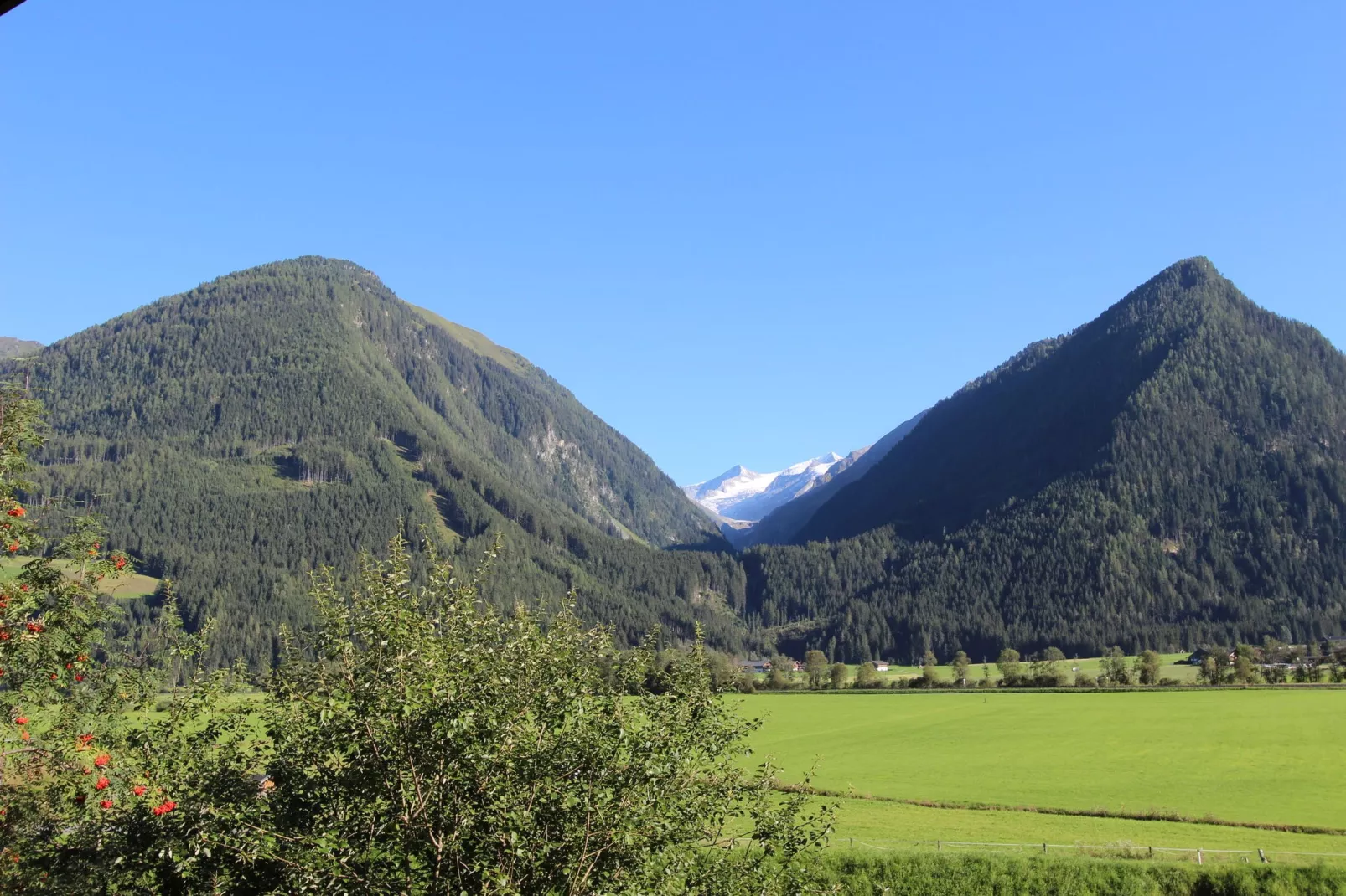 Haus Ferien-Uitzicht zomer