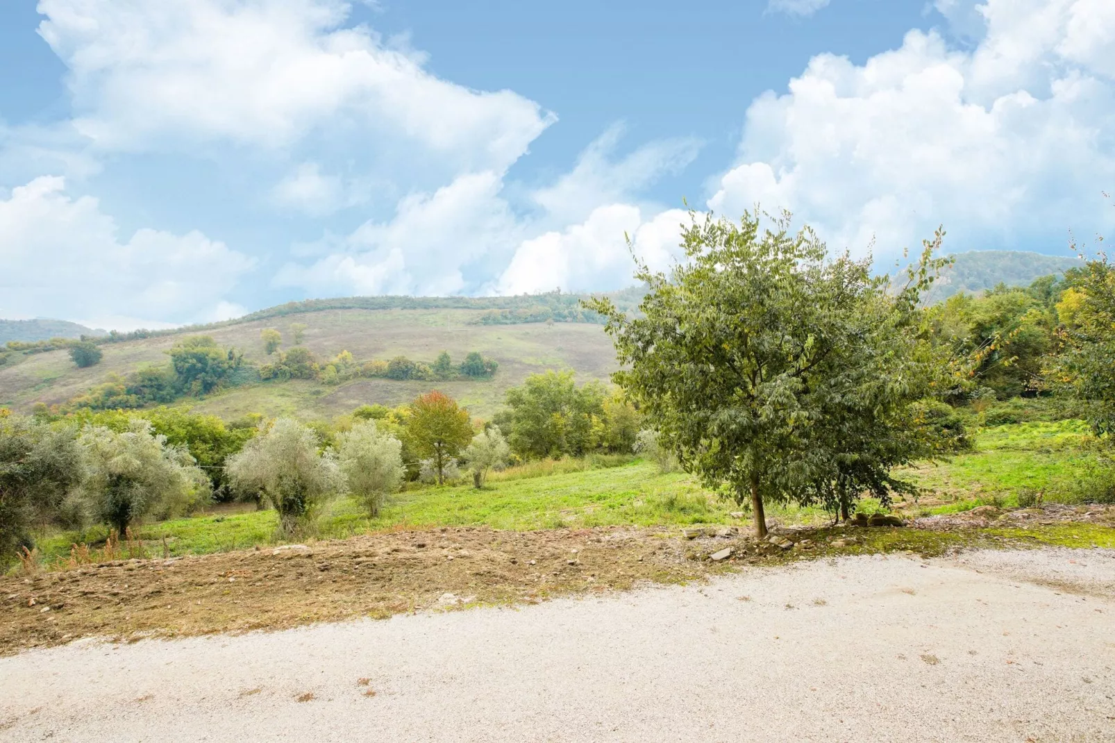 Poggio-Gebieden zomer 5km