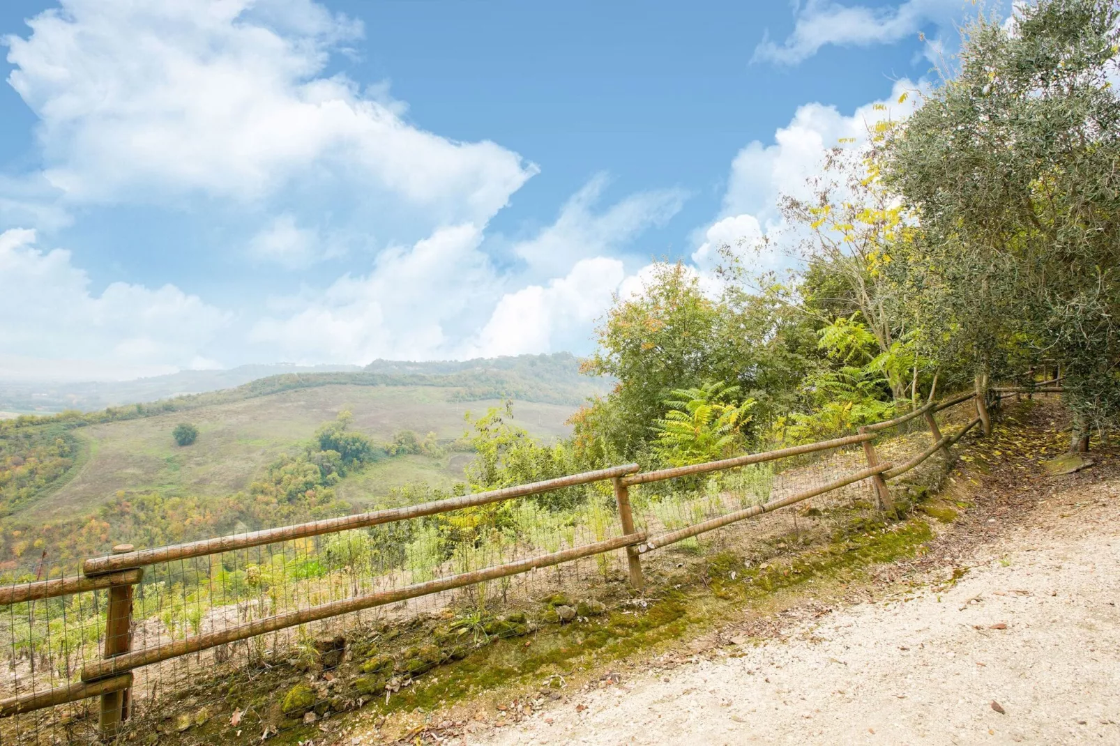 Cima Colle-Gebieden zomer 1km