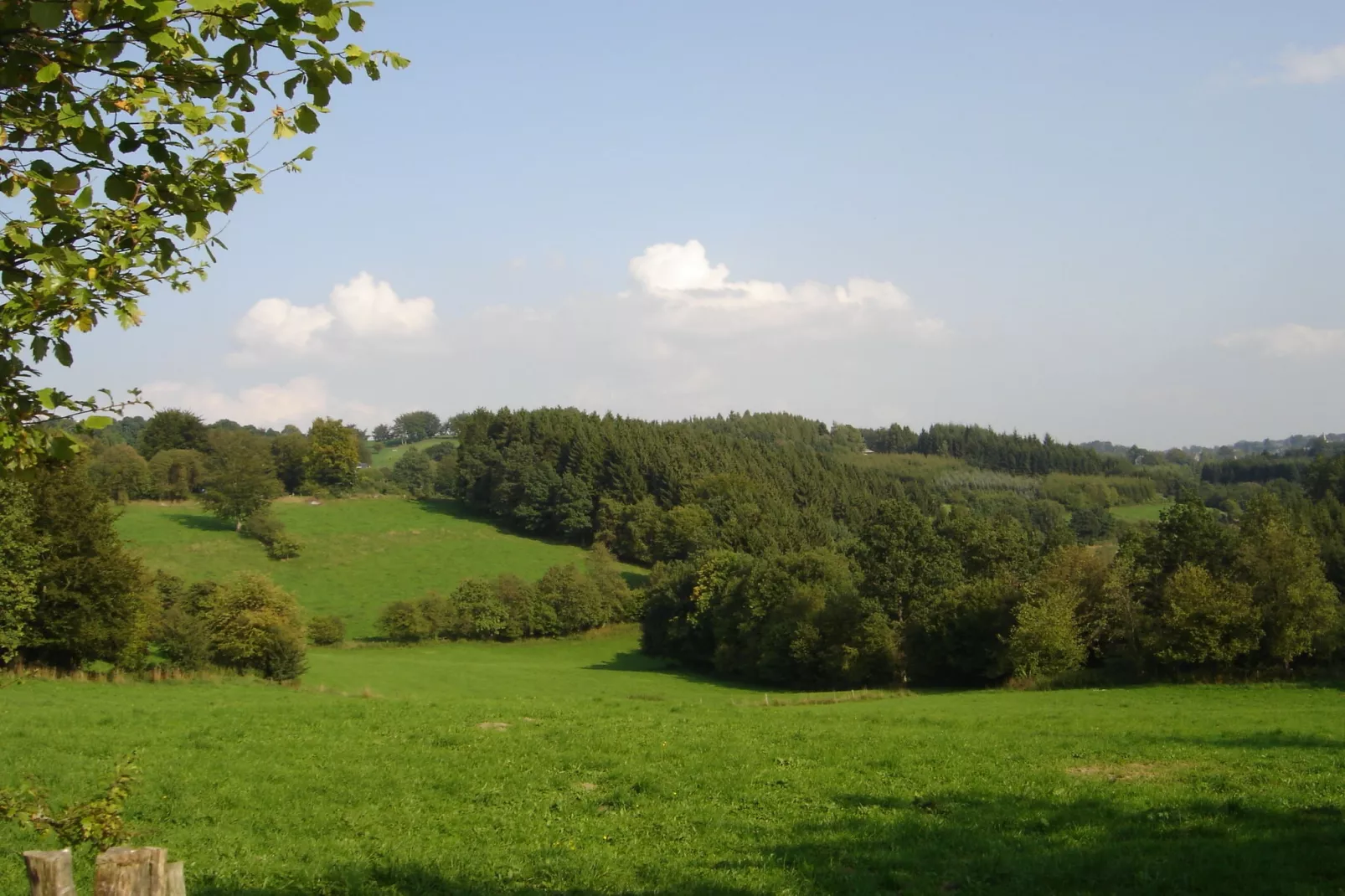 En Chanteraine-Gebieden zomer 1km