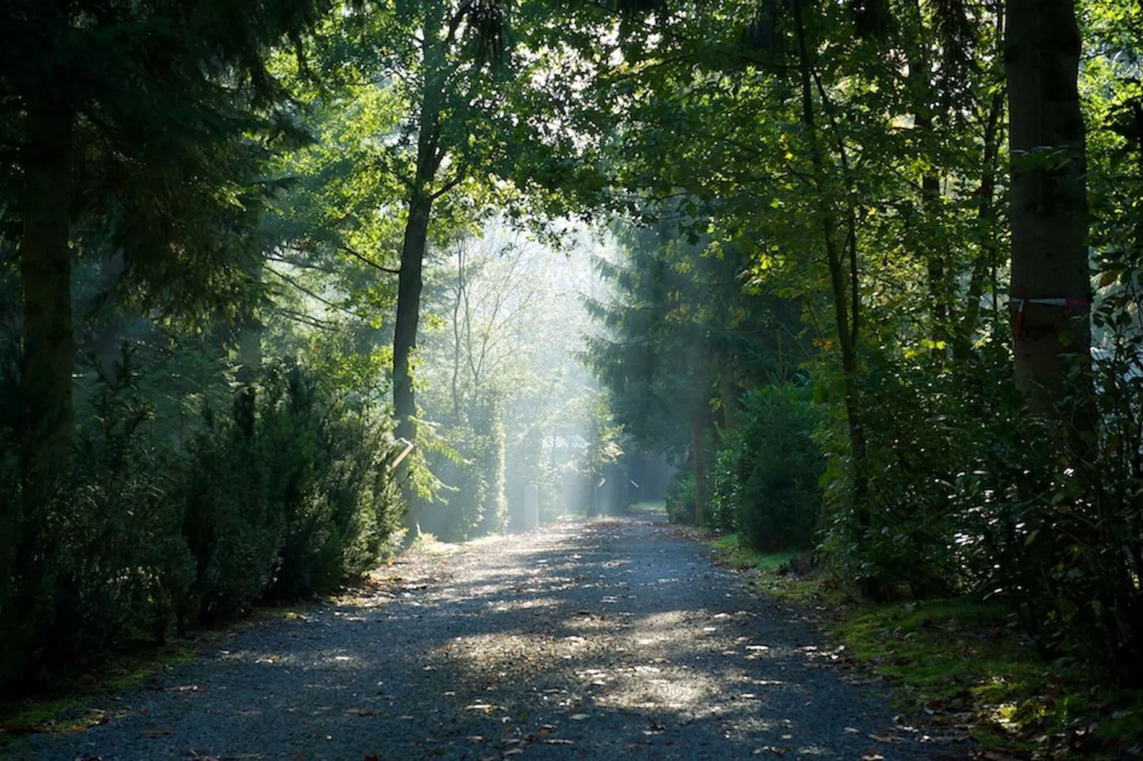 Recreatiepark de Veldkamp 11-Gebieden zomer 1km