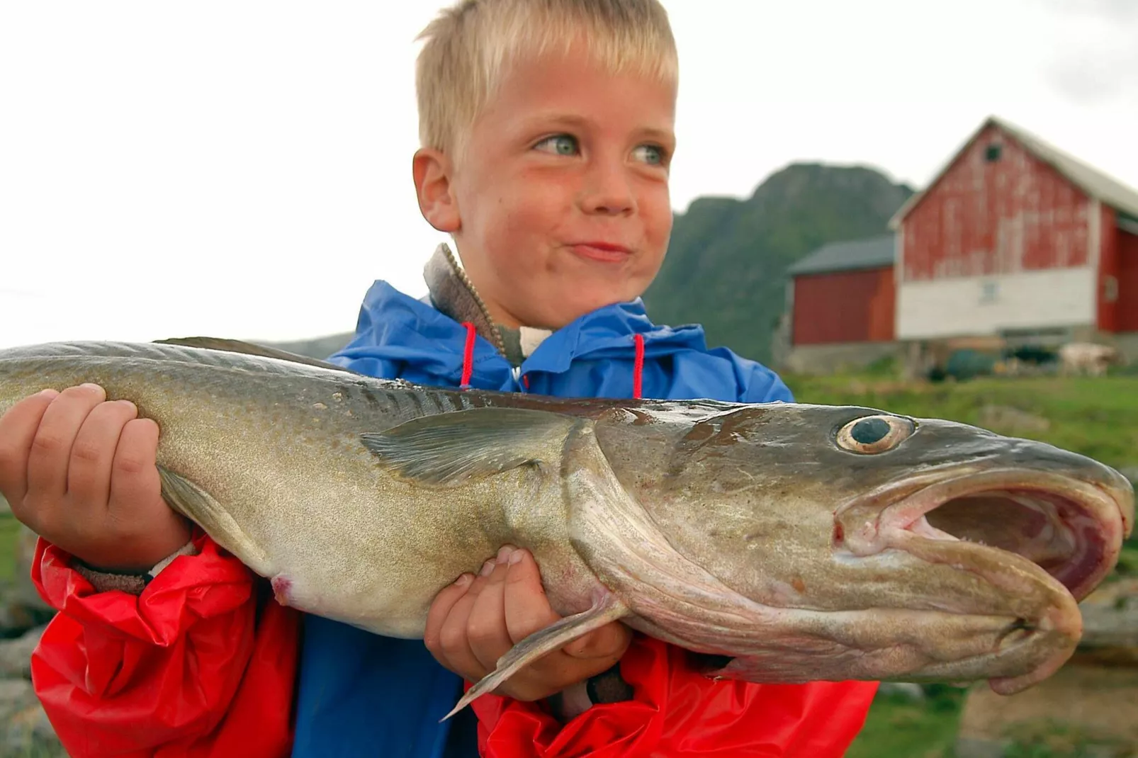 5 persoons vakantie huis in ENGAVÅGEN-By Traum-Uitzicht