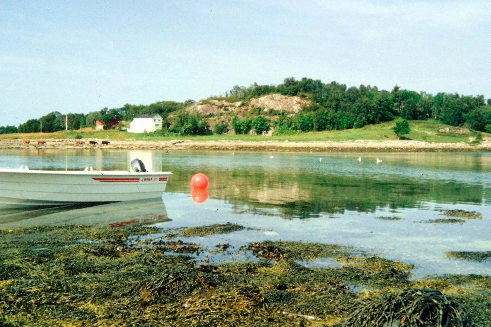 5 persoons vakantie huis in ENGAVÅGEN-By Traum-Uitzicht