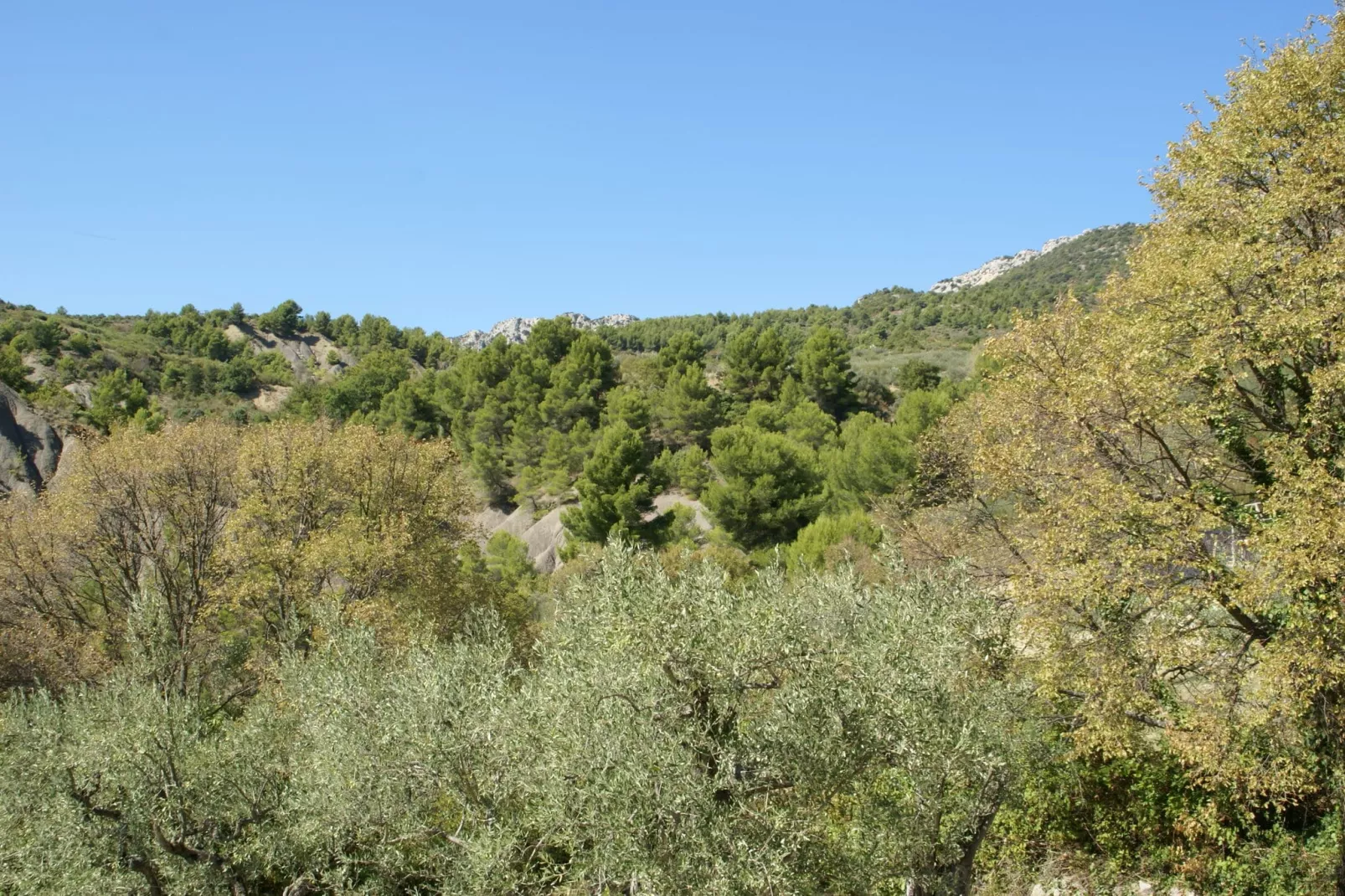 Villa Les Dentelles-Gebieden zomer 1km
