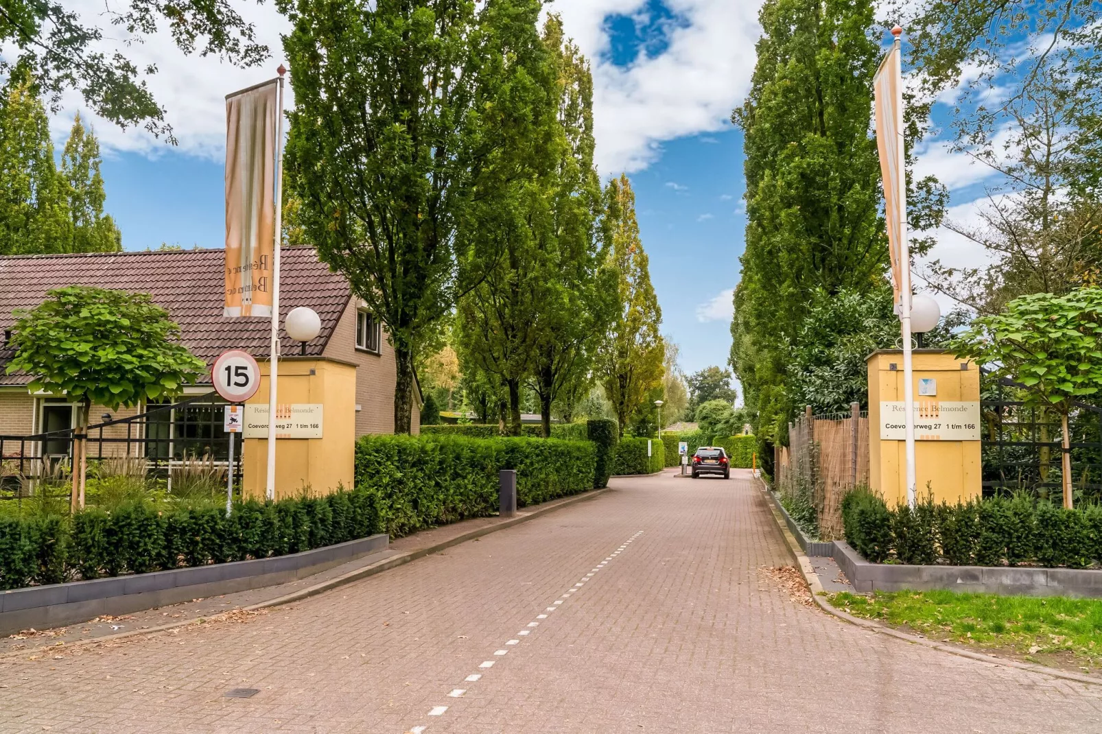 De Witte Duif 2-Gebieden zomer 1km