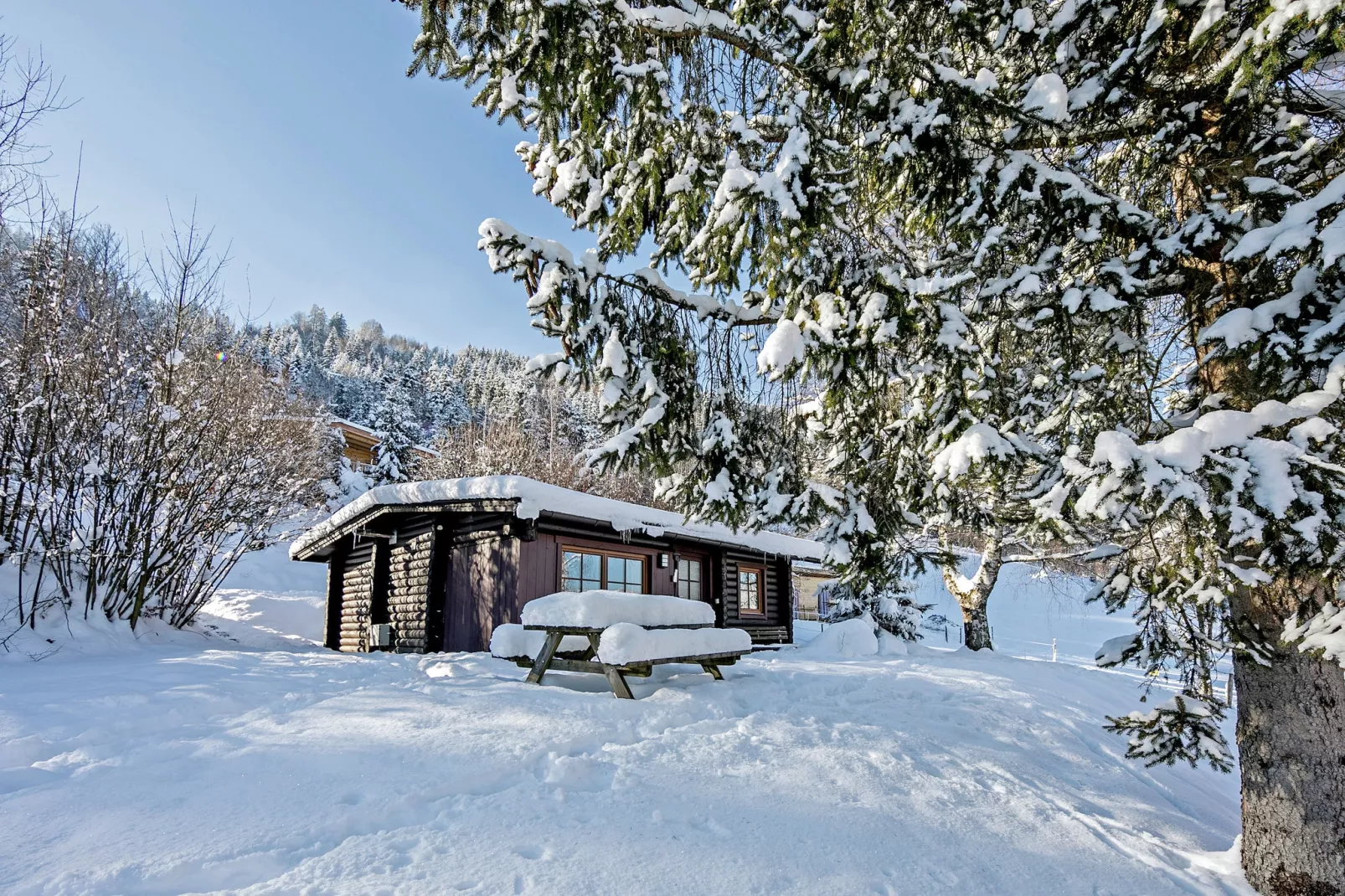 Chalet im Brixental I-Exterieur winter
