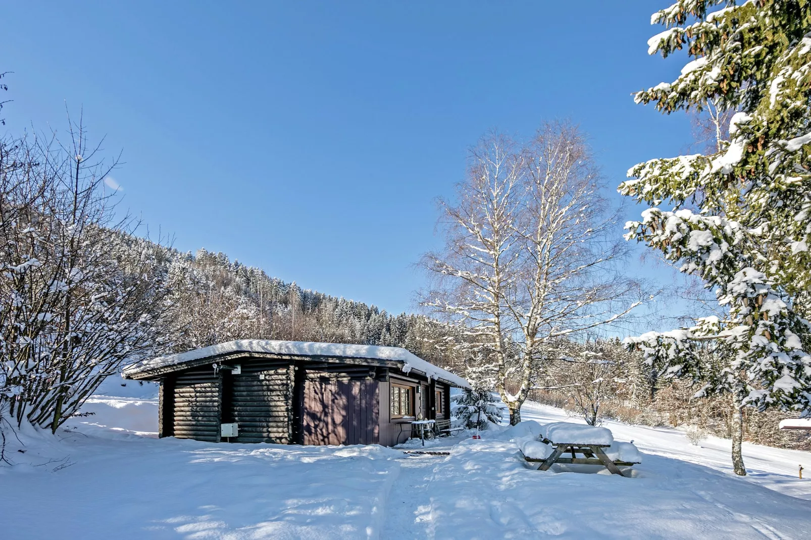 Chalet im Brixental I-Exterieur winter